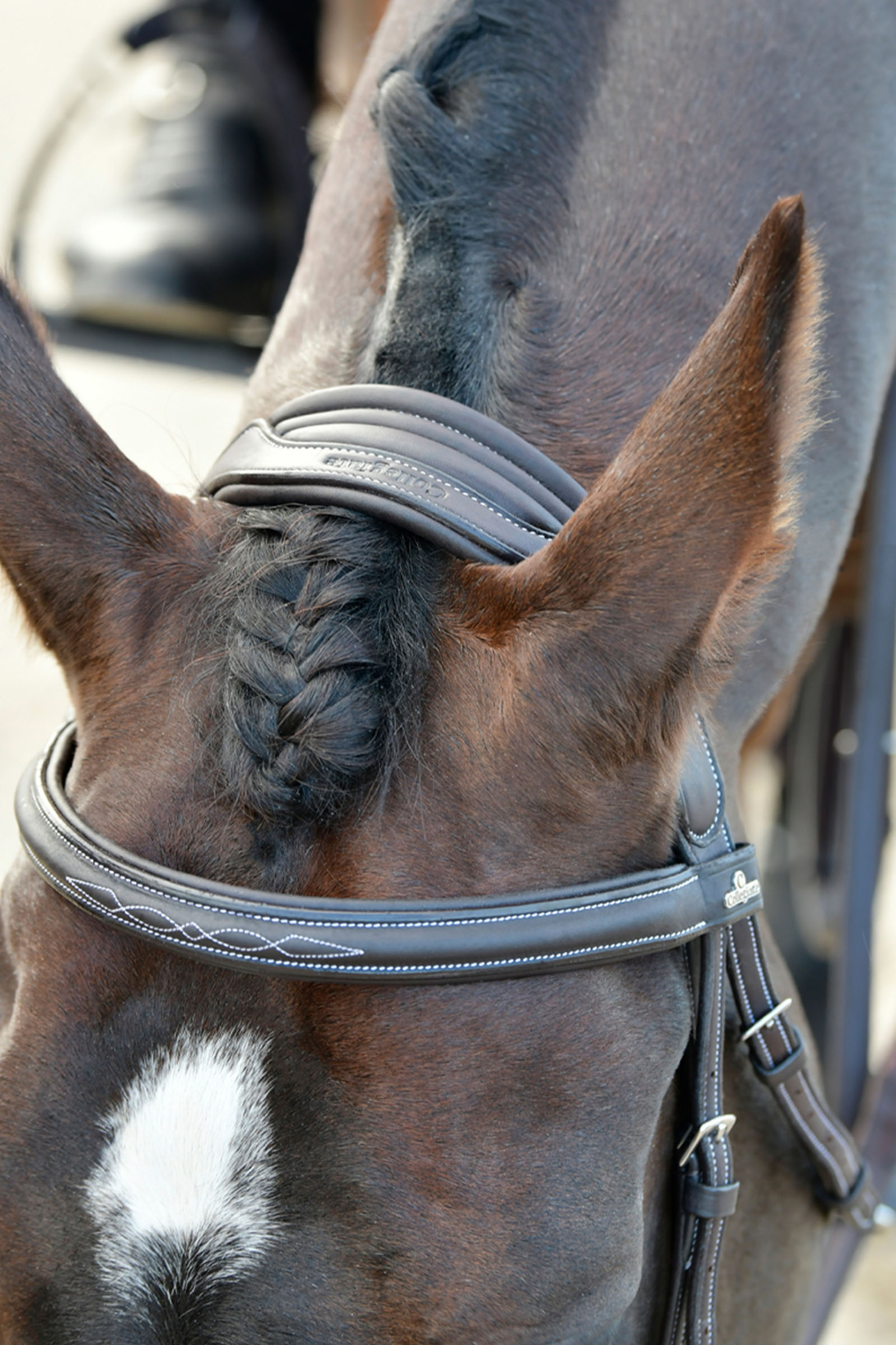 Collegiate Comfitec Opulux Fancy Stitch bride hanovrienne matelassée