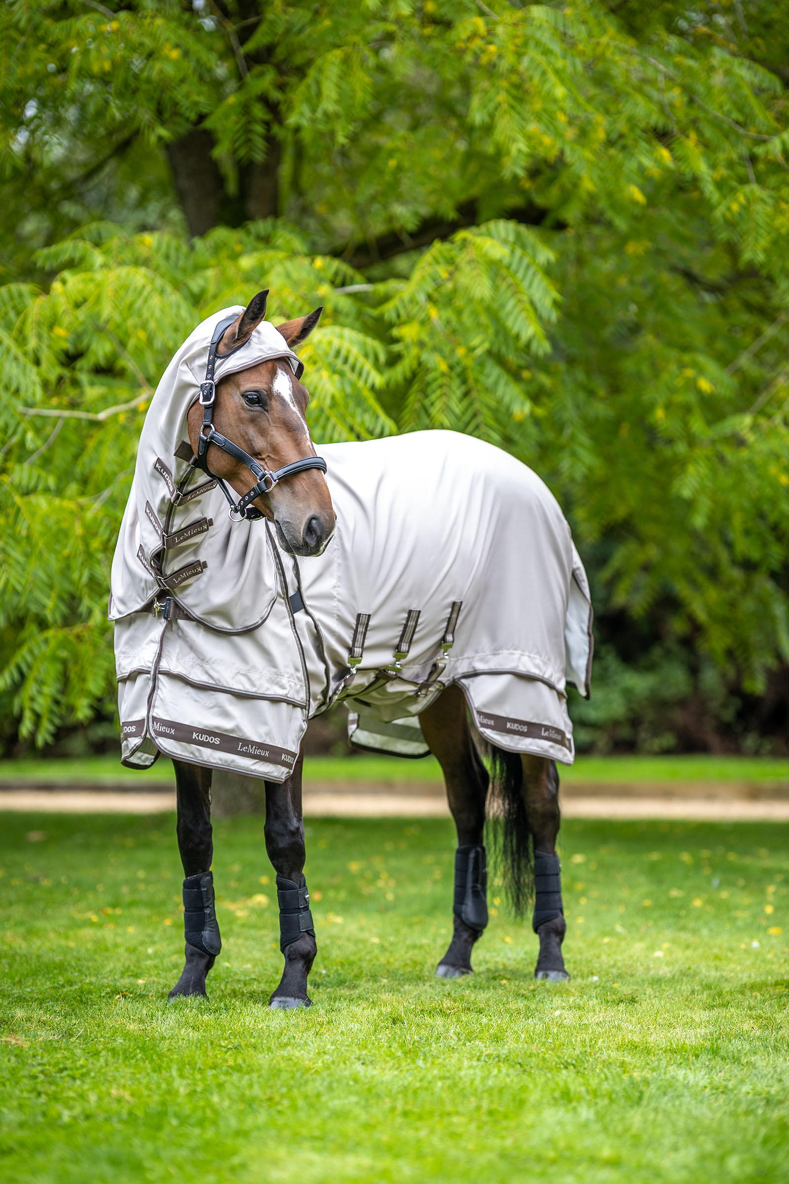 LeMieux Kudos couverture anti-démangeaisons