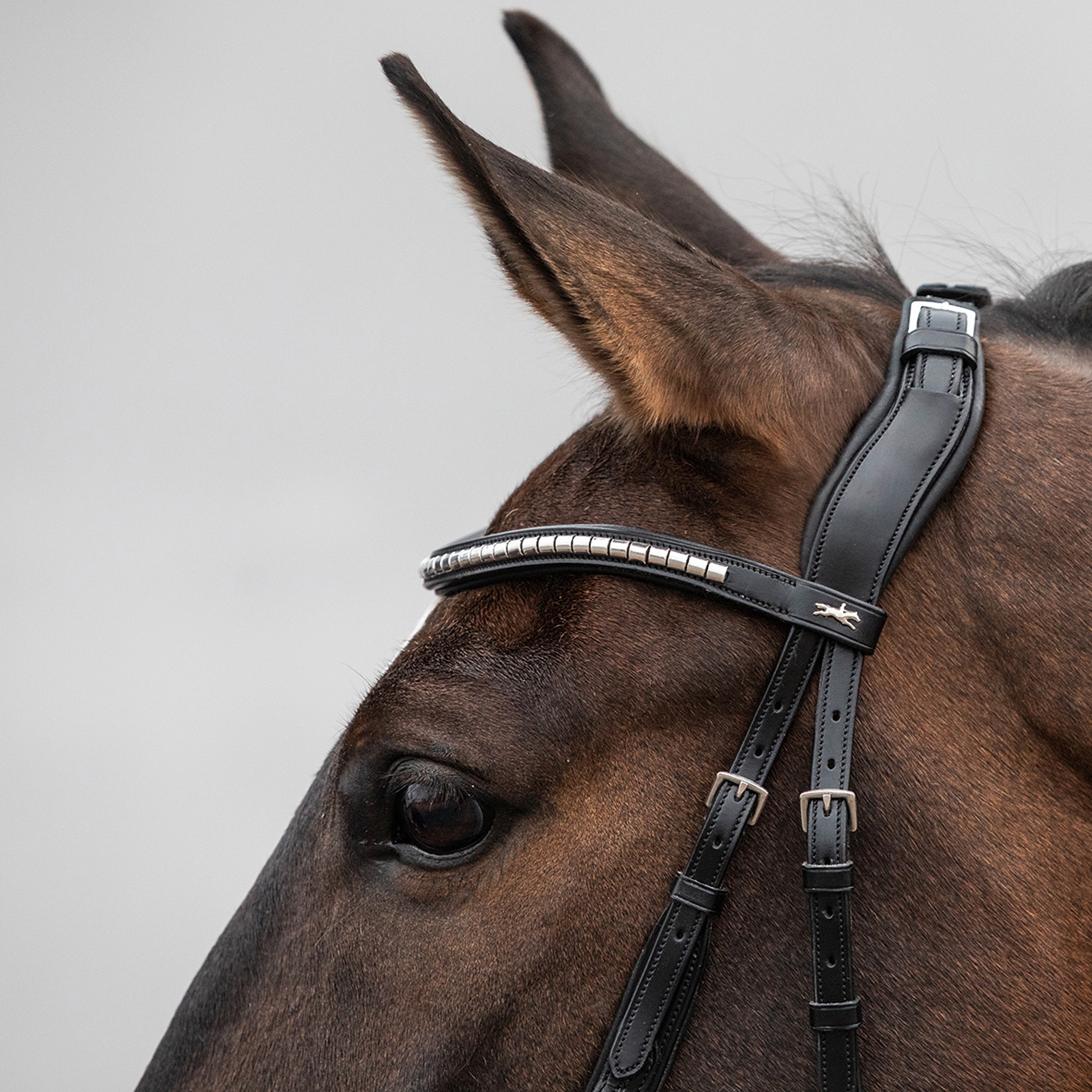 Têtière Schockemöhle Sports Equitus Rho