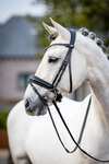 Kudos Bride dressage classique LeMieux