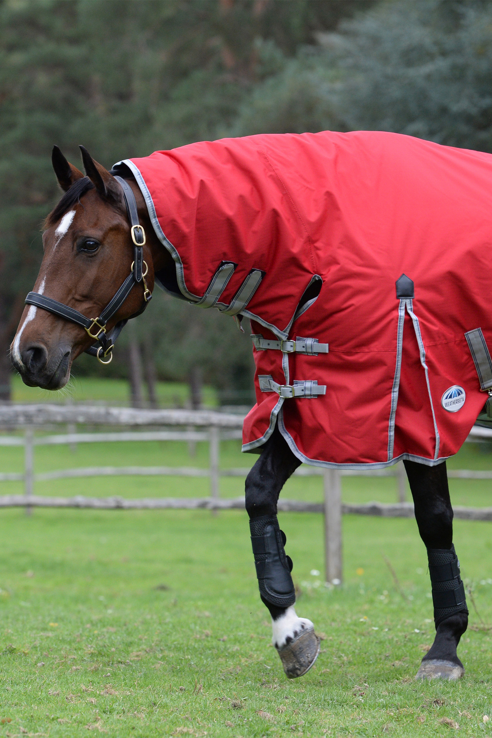 Weatherbeeta Comfitec Classic Couvertures cheval avec encolure intégrée, 50g