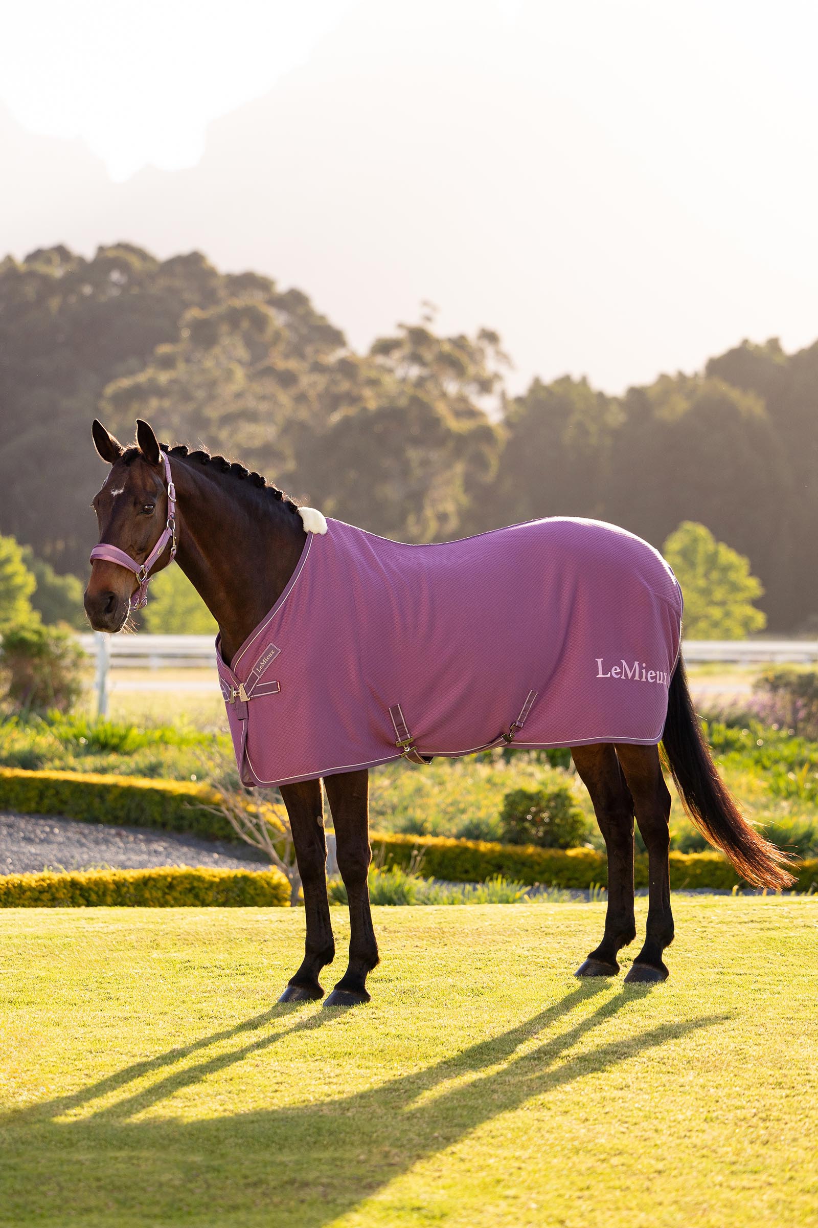 Mallow LeMieux Kudos couverture s&eacute;chante en bambou