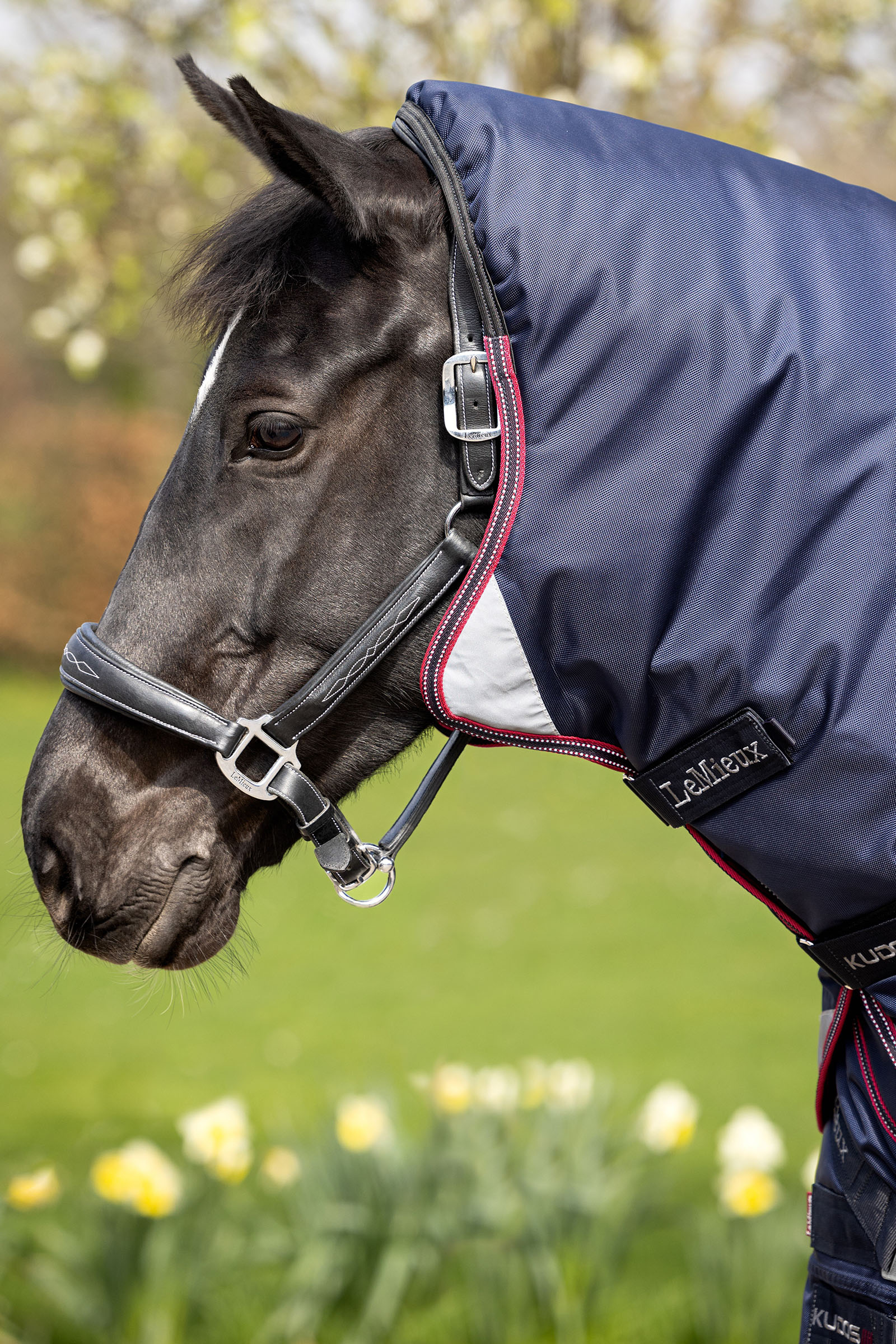 LeMieux Kudos Thermo Layer couverture imperm&eacute;able 100g