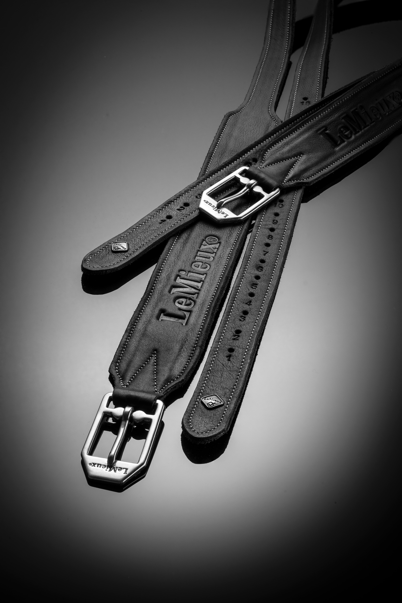 LeMieux Vector Pro sanglons d&rsquo;&eacute;triers