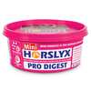 Pierre à lécher Equilibre Digestif Horslyx Pro-Digest Balancer 650 g