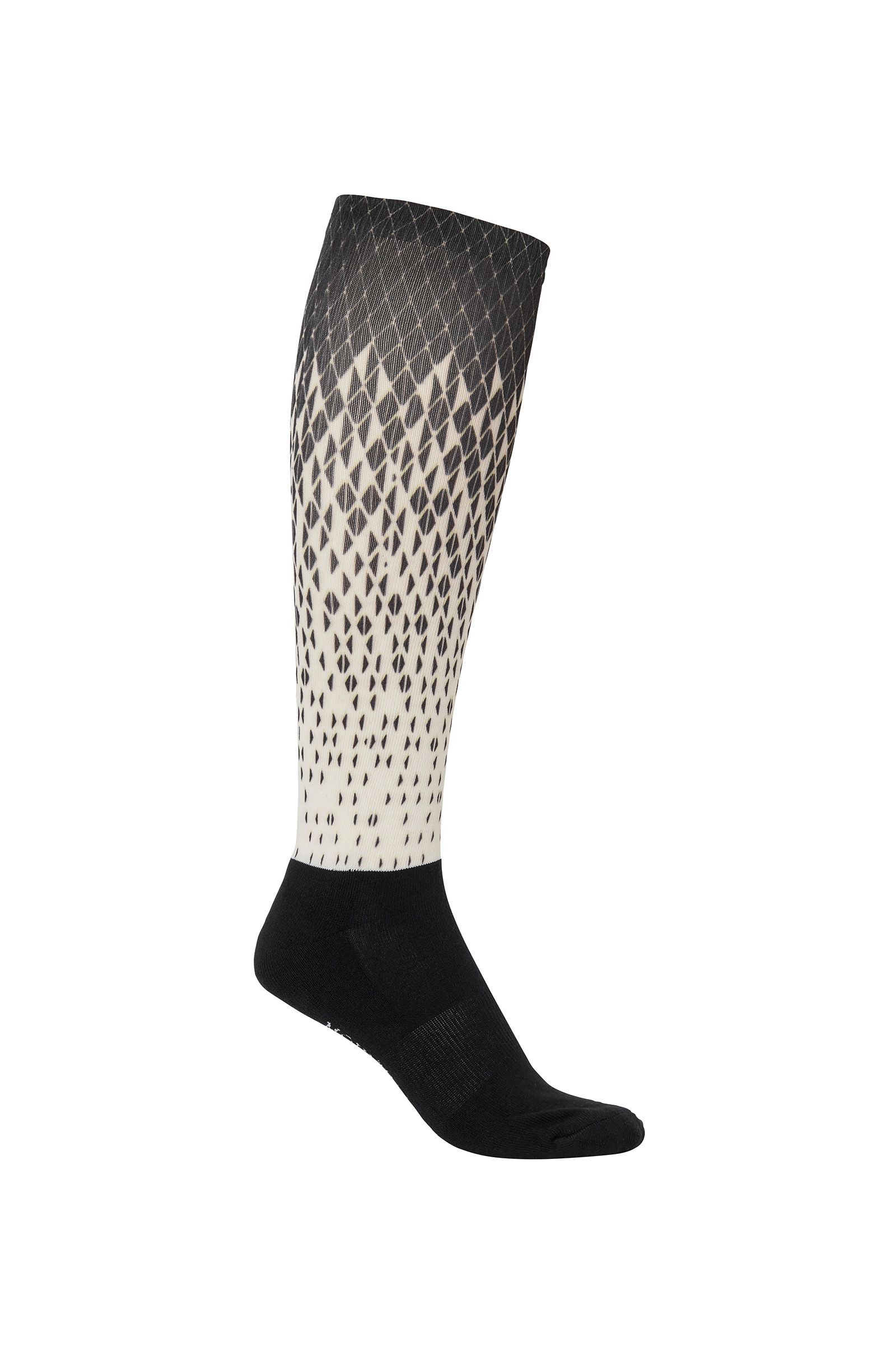 Chaussettes Mountain Horse Dime (lot de 2)
