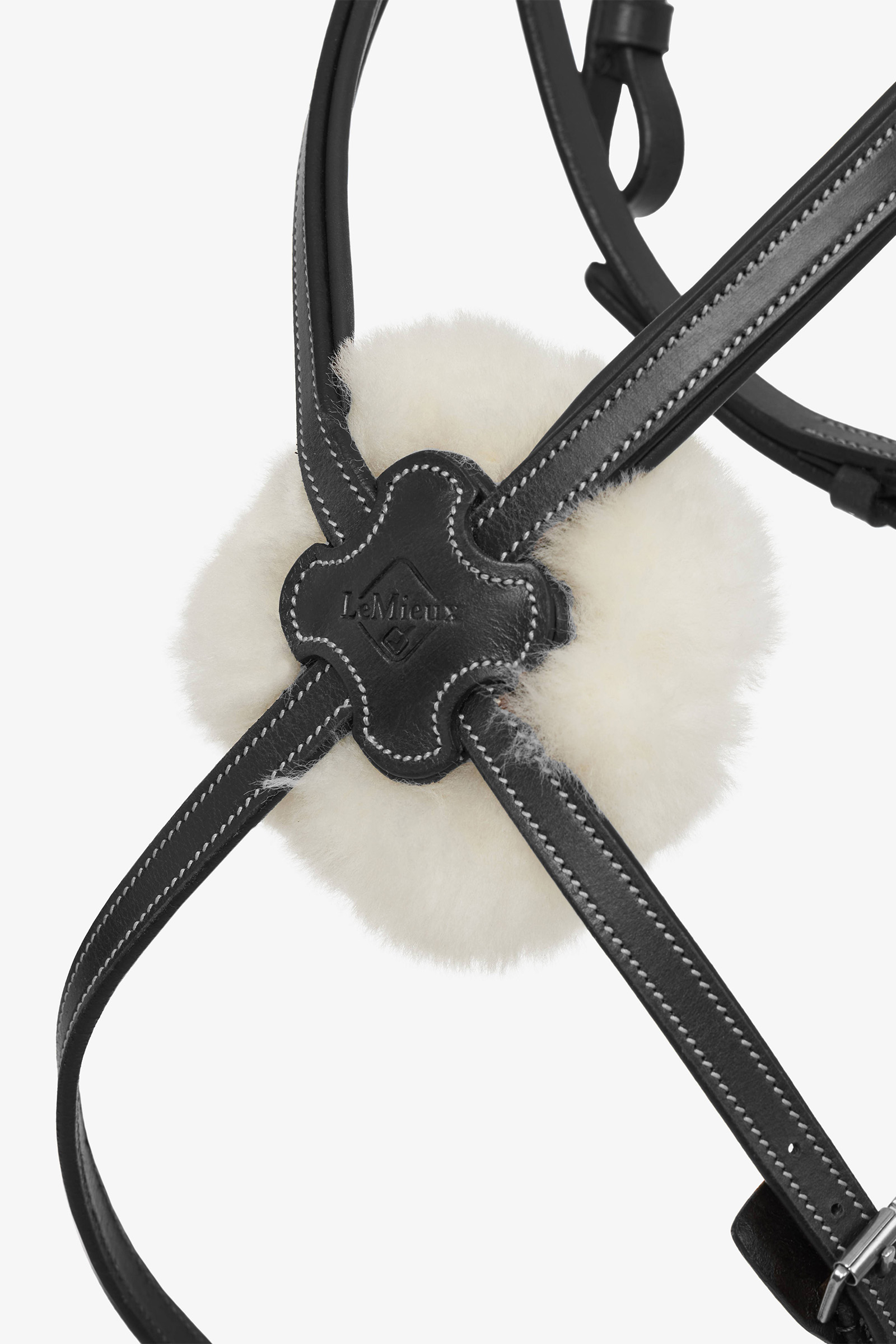 Filet LeMieux Arika Grackle