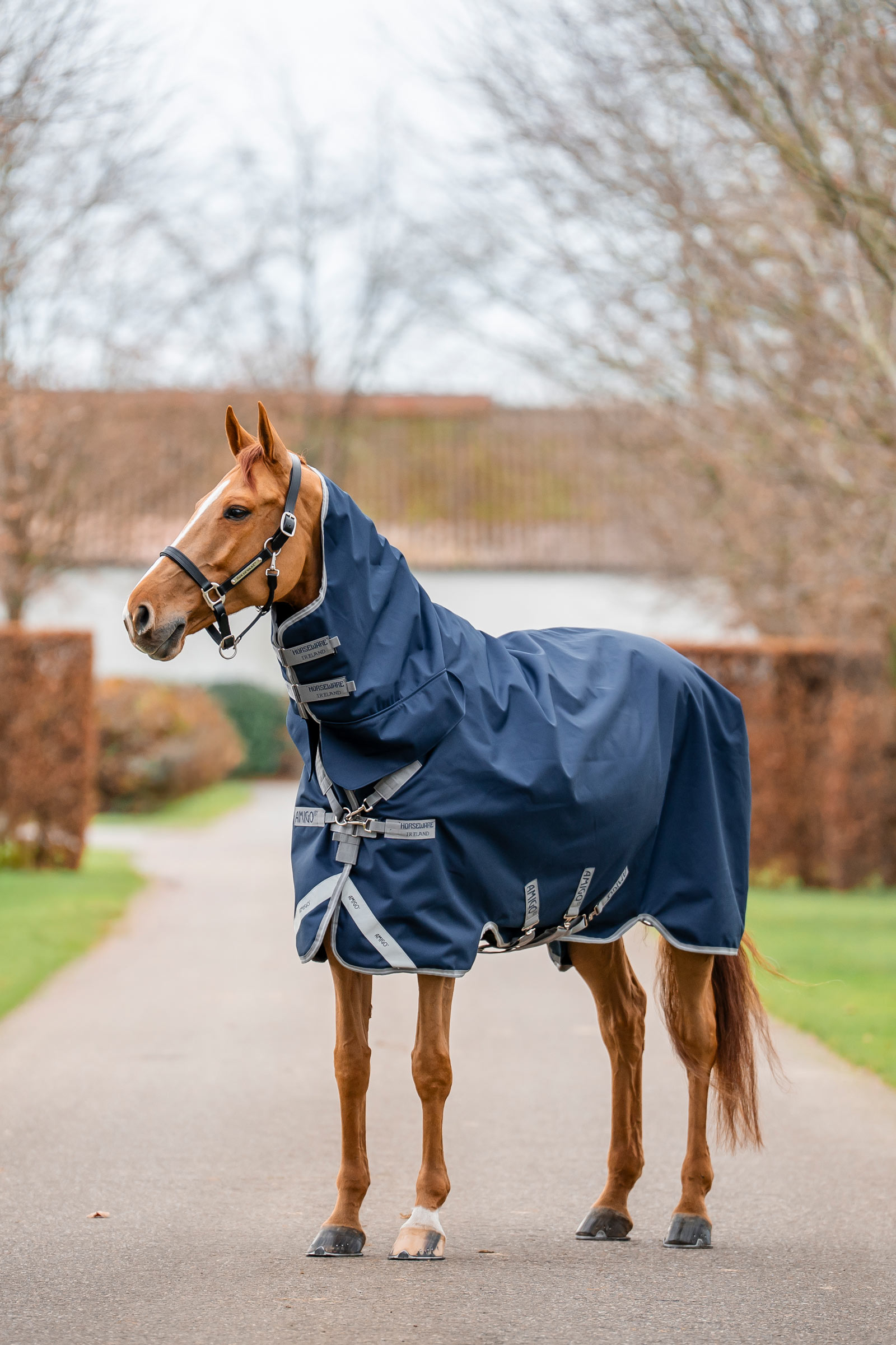 Horseware Amigo 1200D couverture imperm&eacute;able int&eacute;gr&eacute;e 250 g