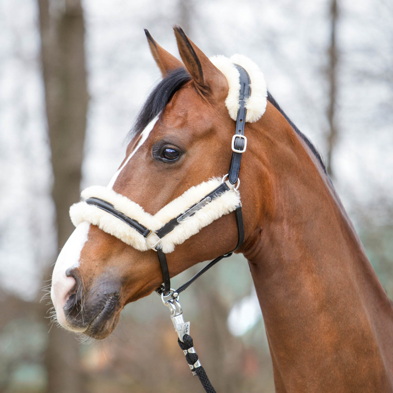 Licol en cuir Marvelous Kavalkade avec peau de mouton