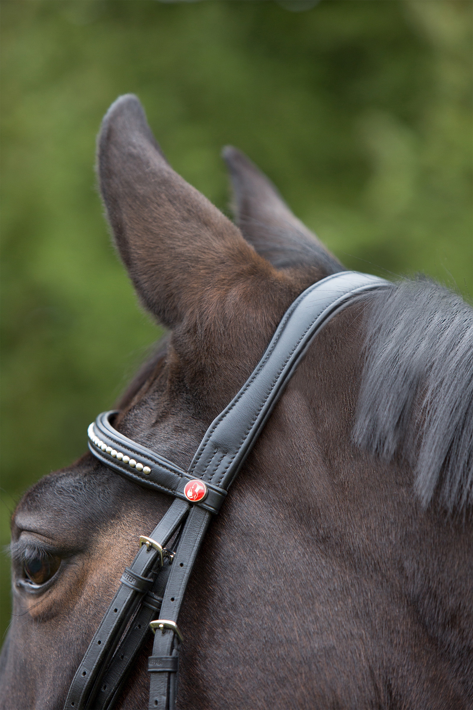 Kieffer Ultrasoft&reg; Bridle