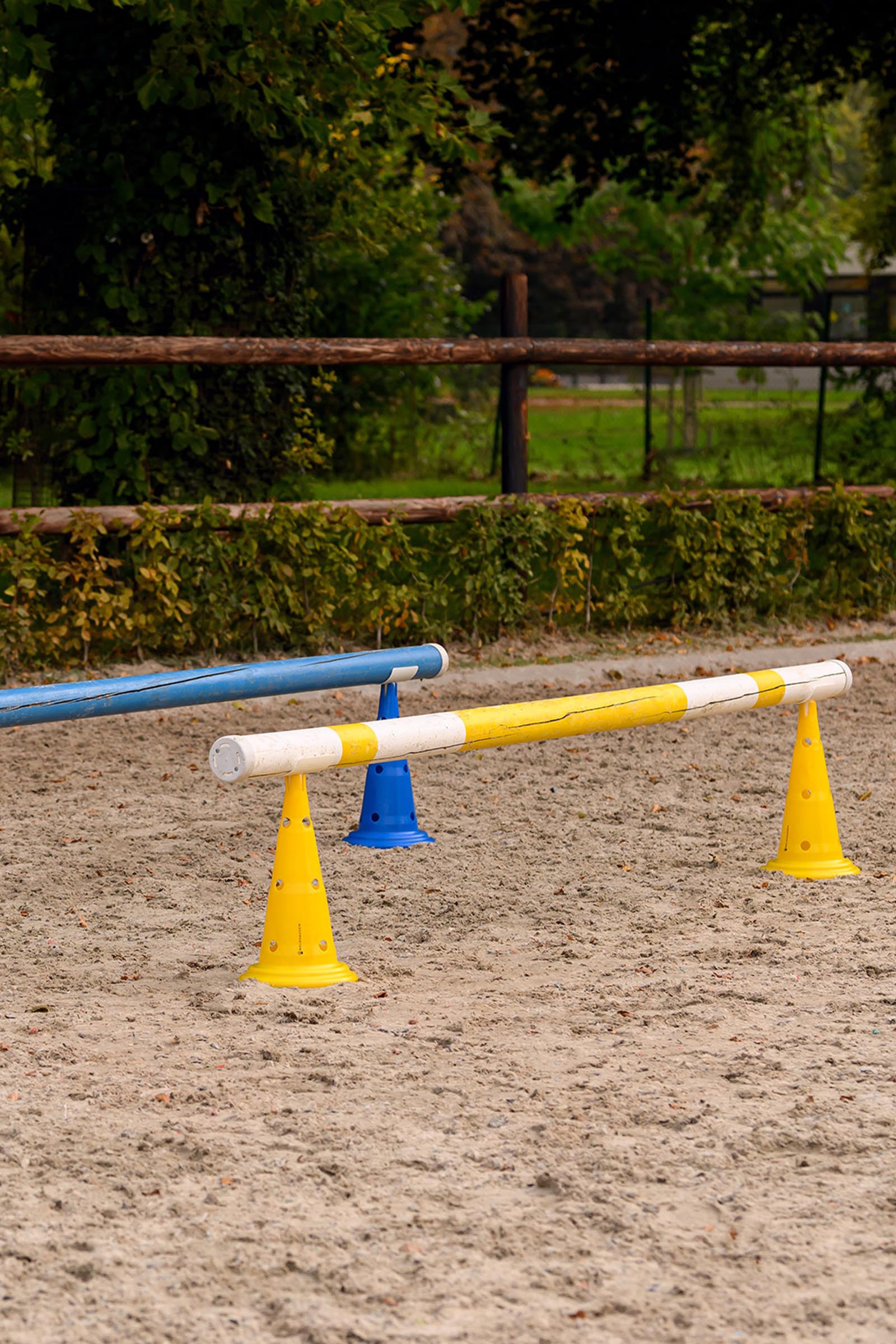 Waldhausen XL plots avec sac de transport (8 pcs)