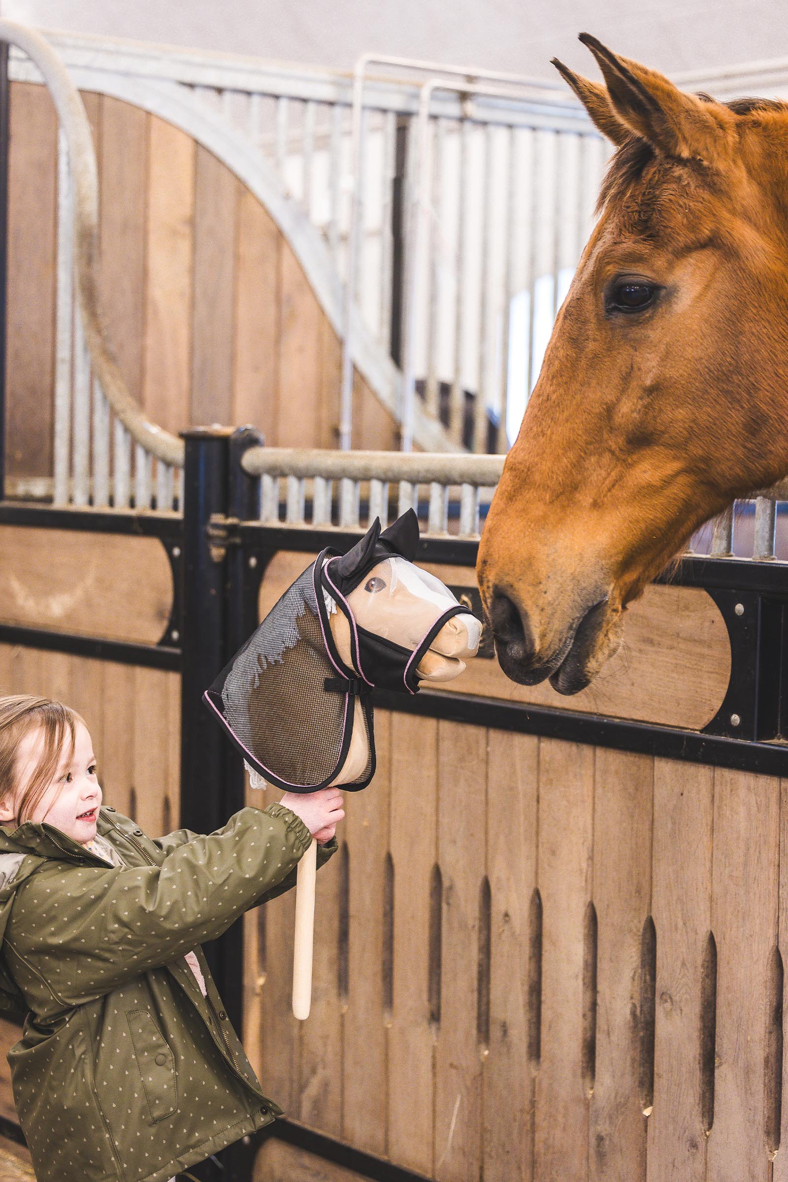 My Hobby Horse couverture anti-insectes