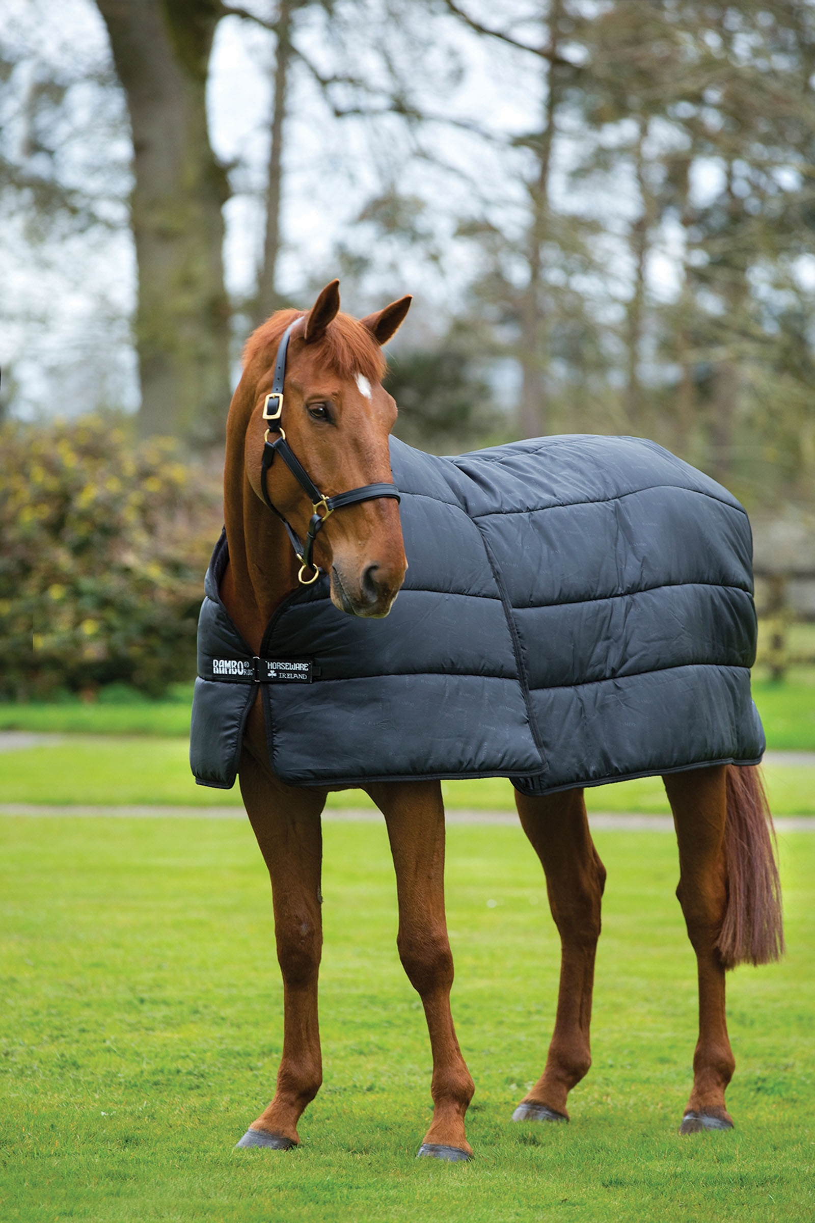 Sous-couverture Horseware Rambo Optimo 300g