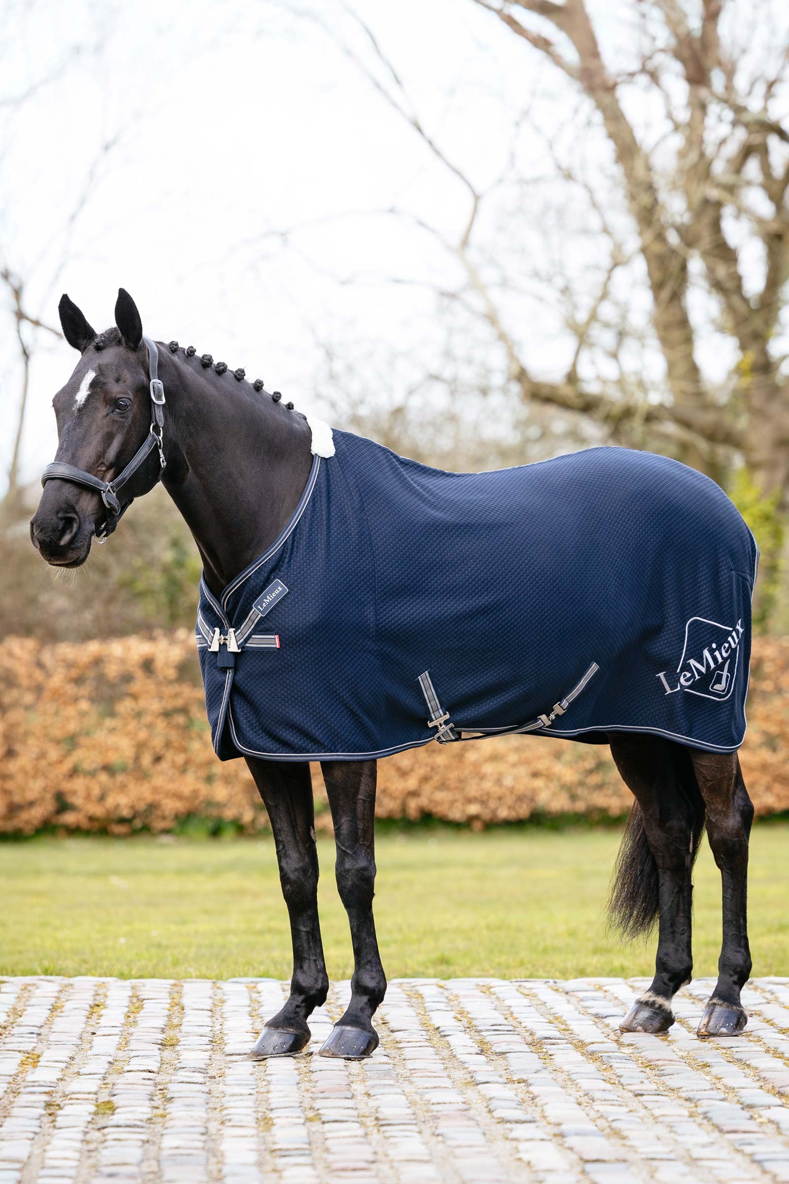 LeMieux Kudos couverture s&eacute;chante en bambou