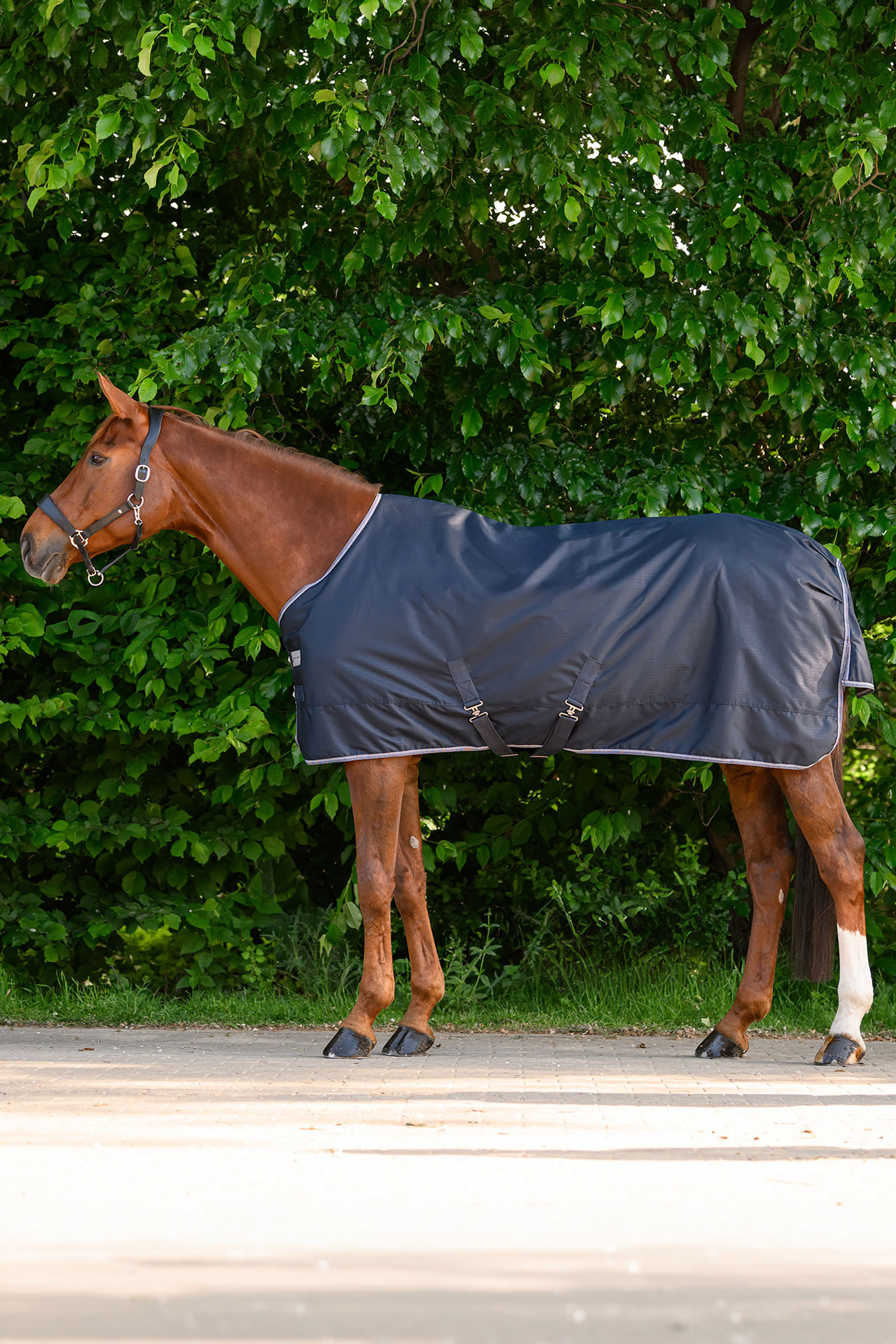 Waldhausen ECONOMIC couverture d&rsquo;ext&eacute;rieur, 100g