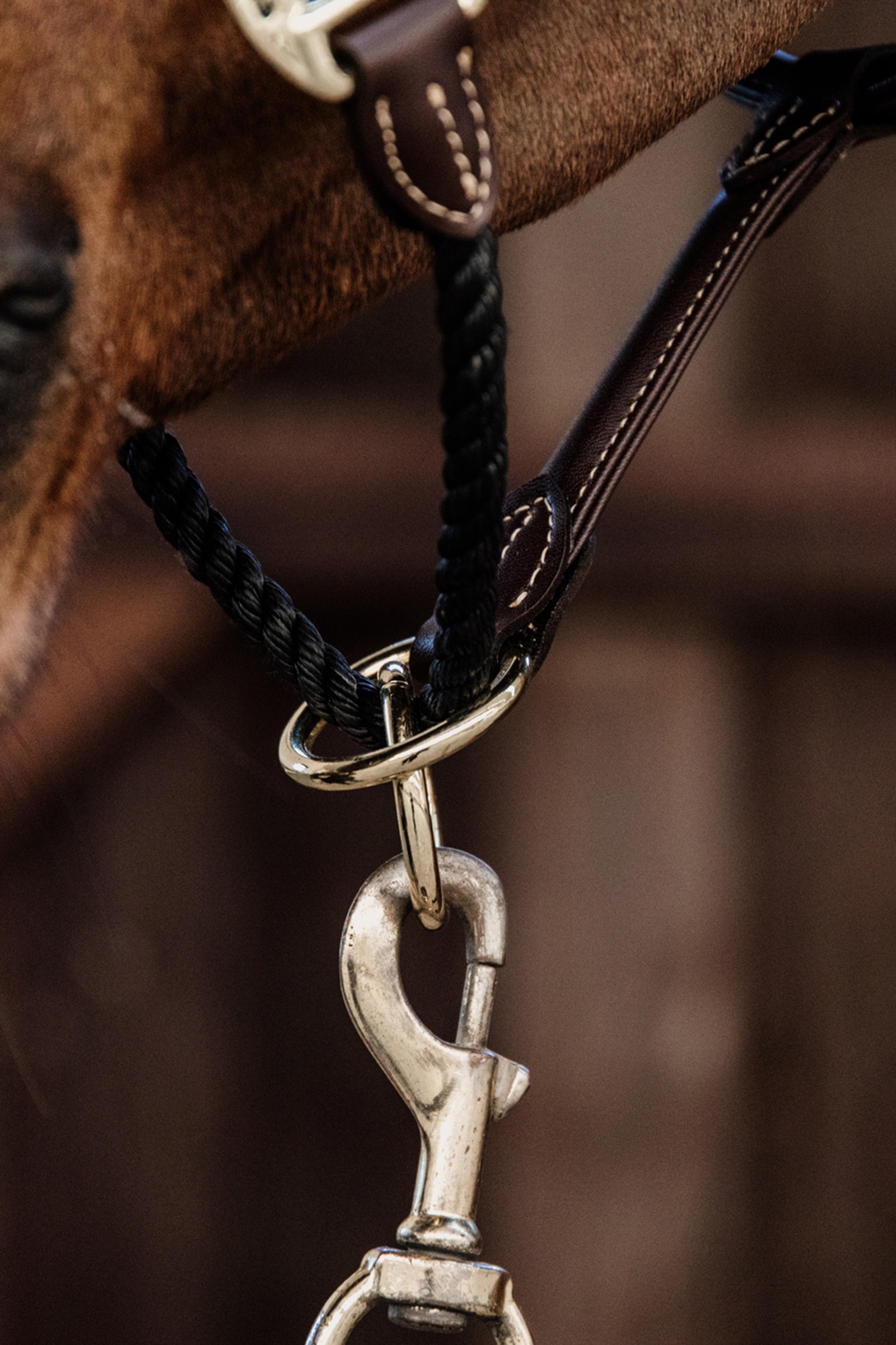 Licol en cuir Rope Kentucky Horsewear