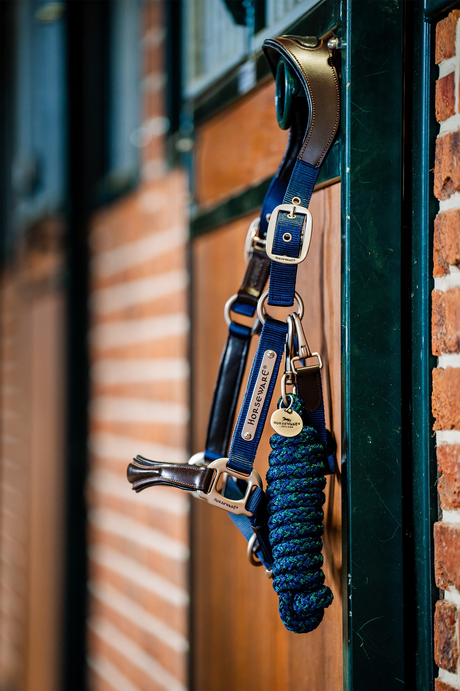 Licol de spectacle Horseware Signature