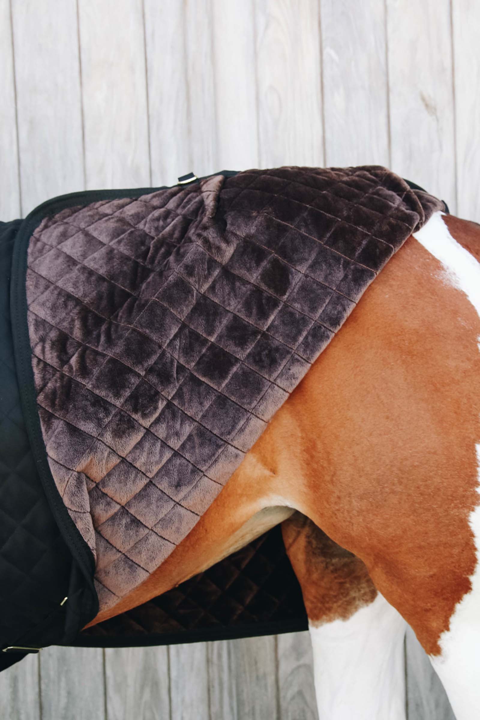 Kentucky Couverture de PrésentationHorsewear 160g