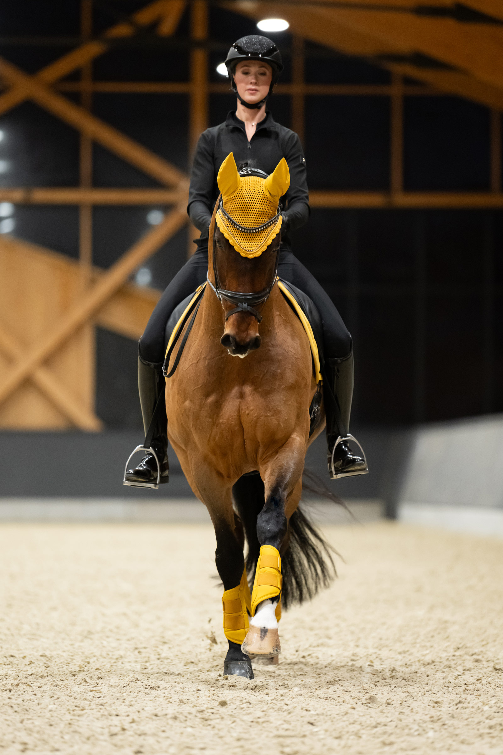 Eskadron Platinum 25 Gu&ecirc;tres tendon en simili cuir