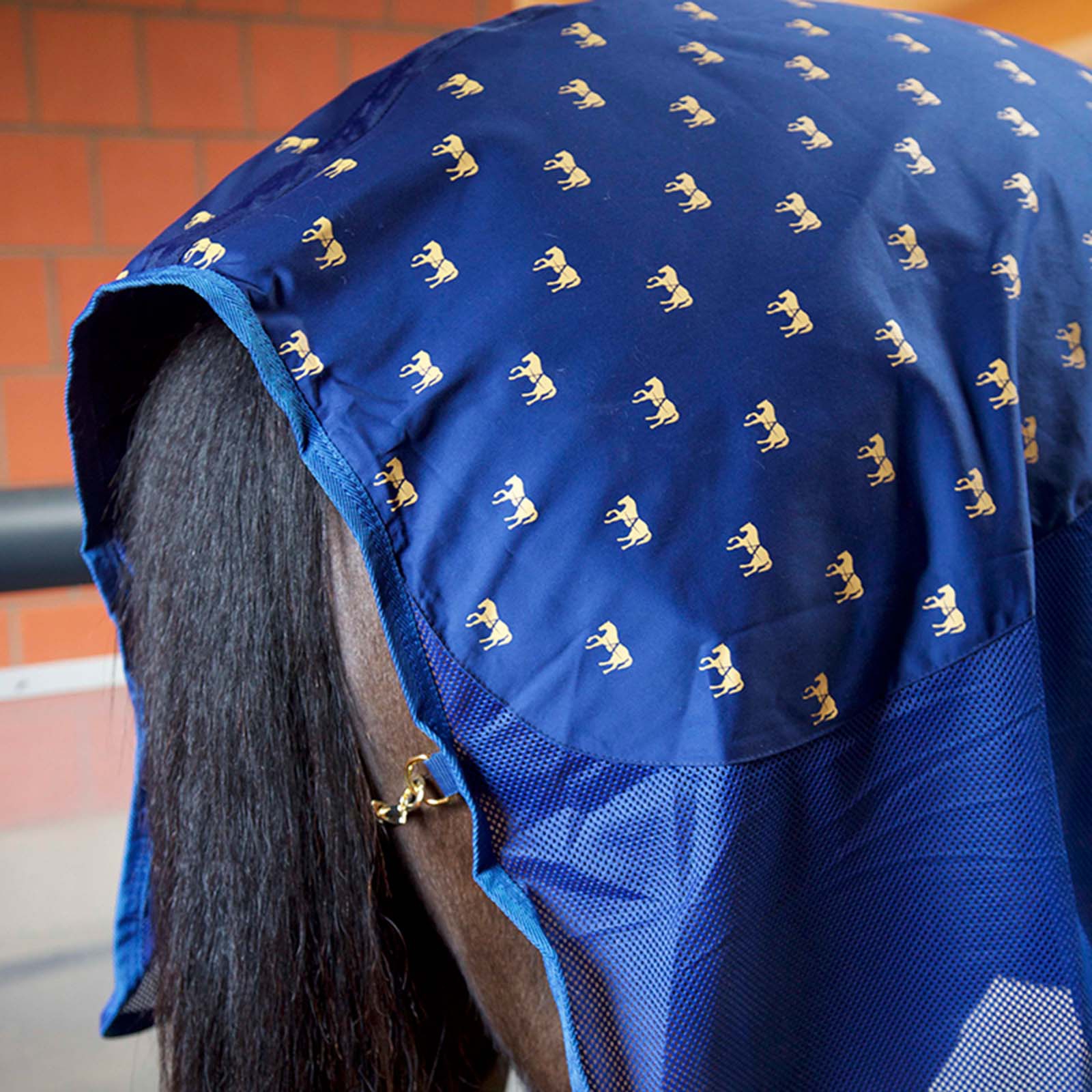 Couverture d'acupression Accuhorsemat Cooler