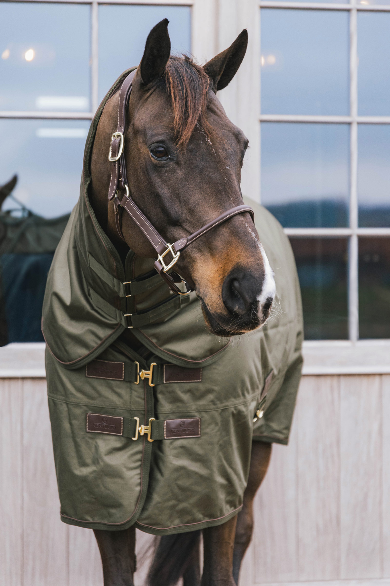 Couverture d'extérieur Kentucky Horsewear tout temps 160 g