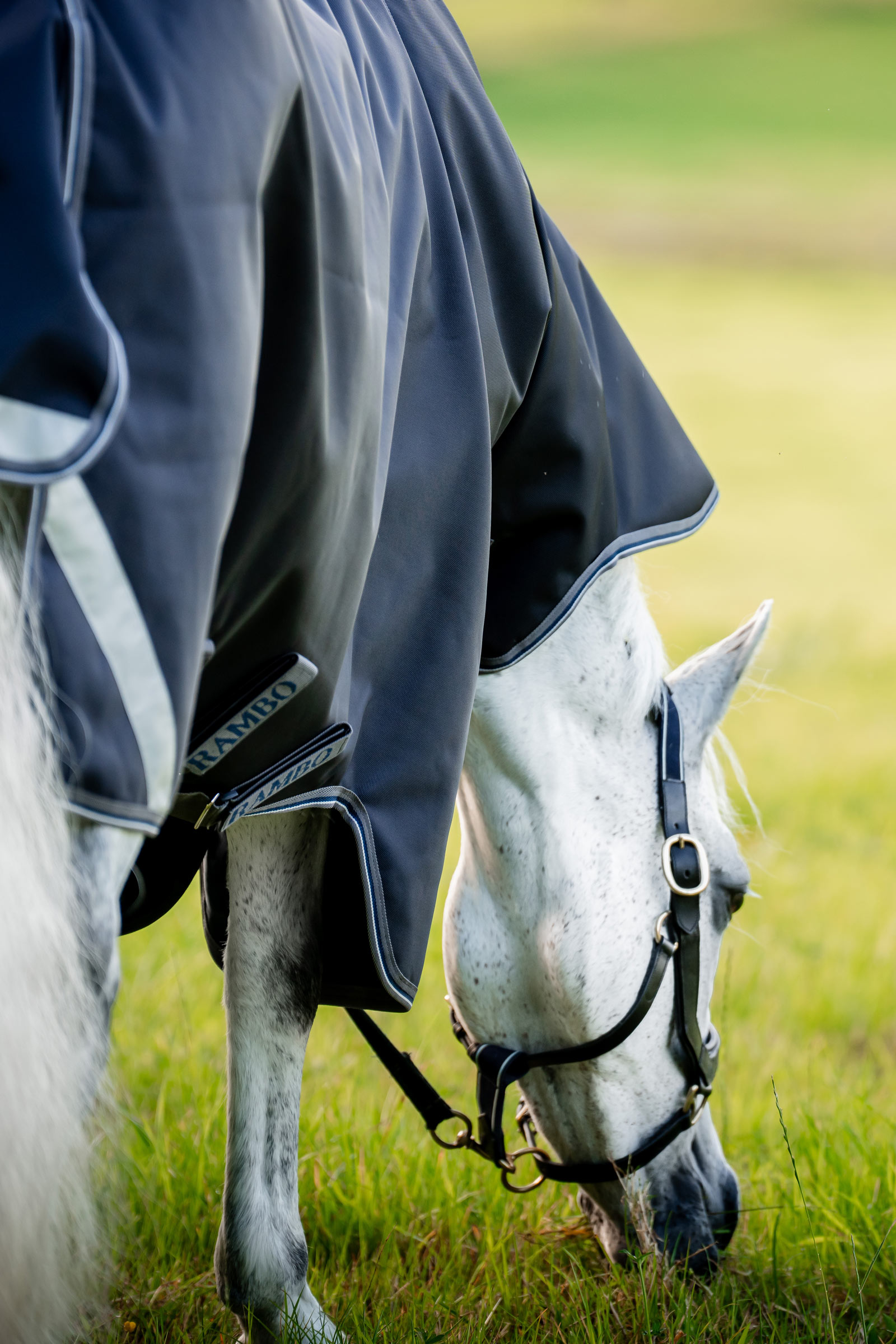Horseware Rambo 1680D Plus Vario Layer couverture d’extérieur, 250 g
