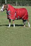 Weatherbeeta Comfitec Classic Couvertures cheval avec encolure intégrée, 50g