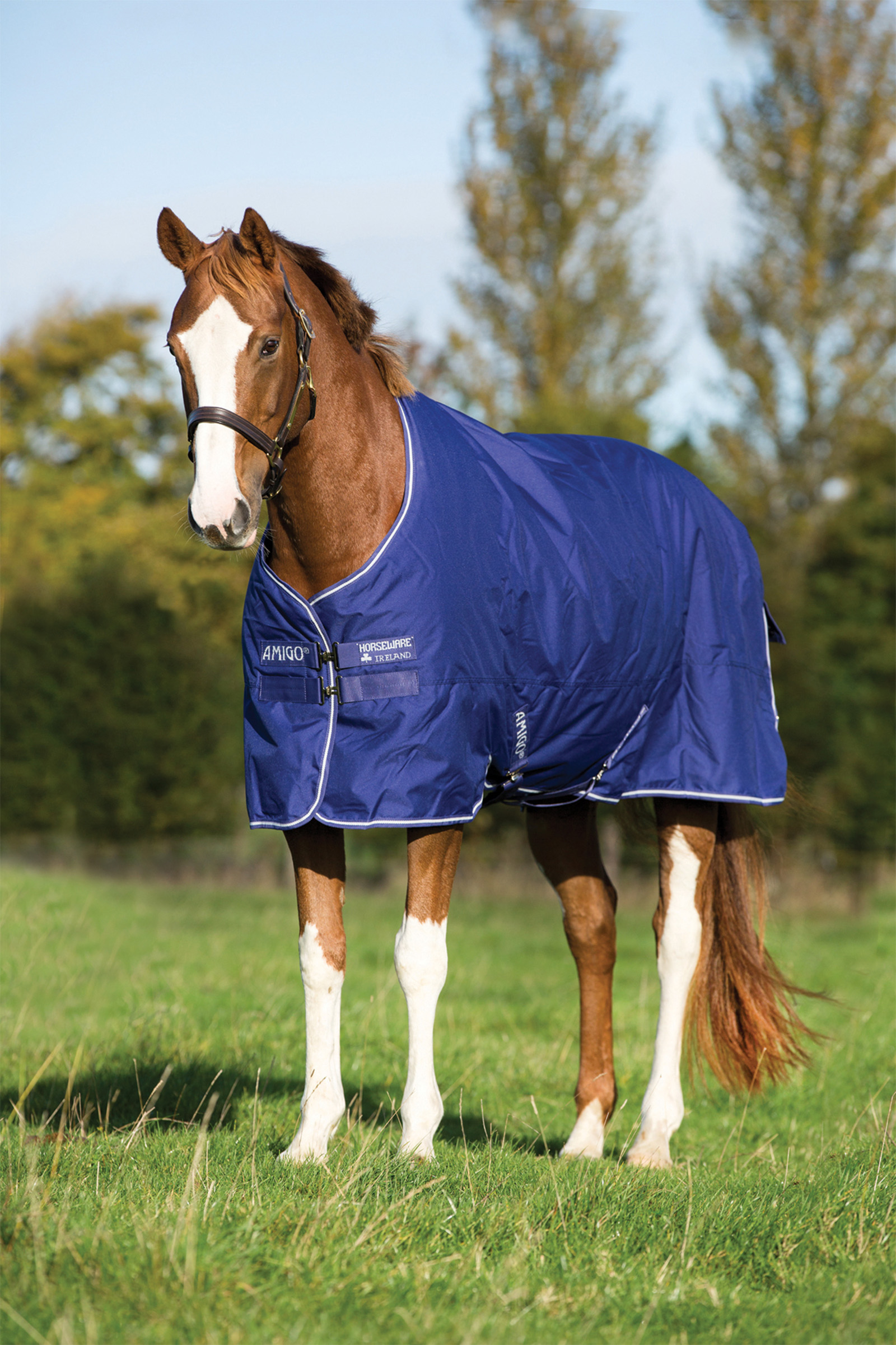 Horseware Amigo Hero 900 Plus Medium couverture imperm&eacute;able, 200g