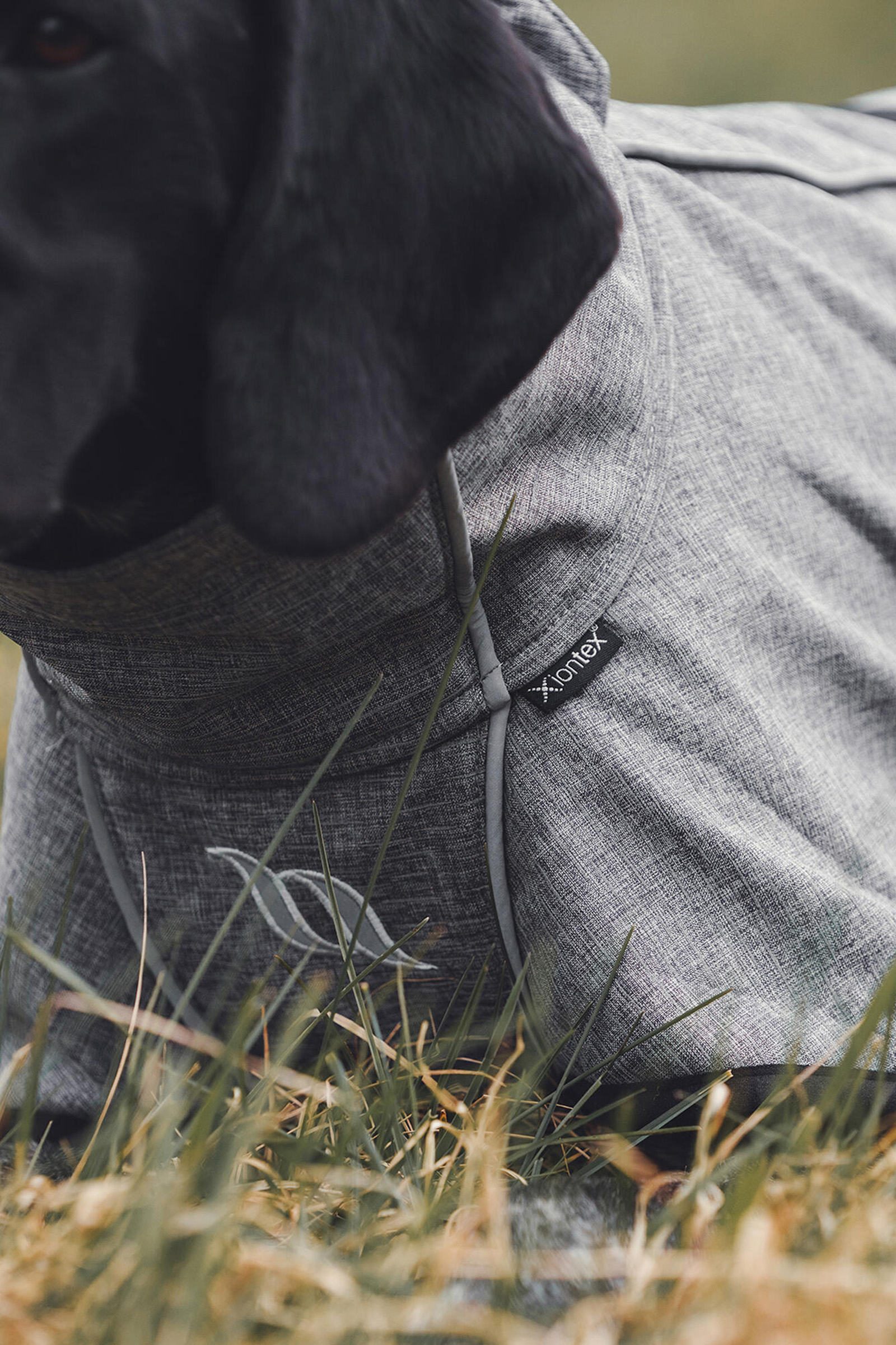 Manteau pour chien Back on Track Bark All-Round, 70-80 cm