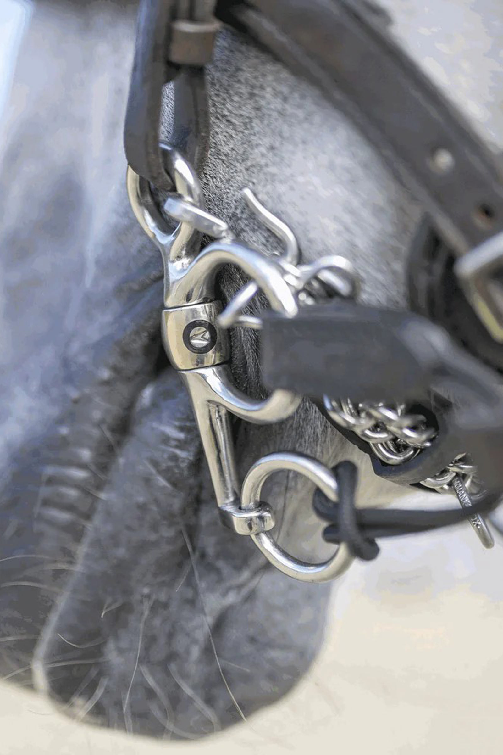 Sprenger Dynamic RS Pelham, Sensogan, double brisé, 16 mm