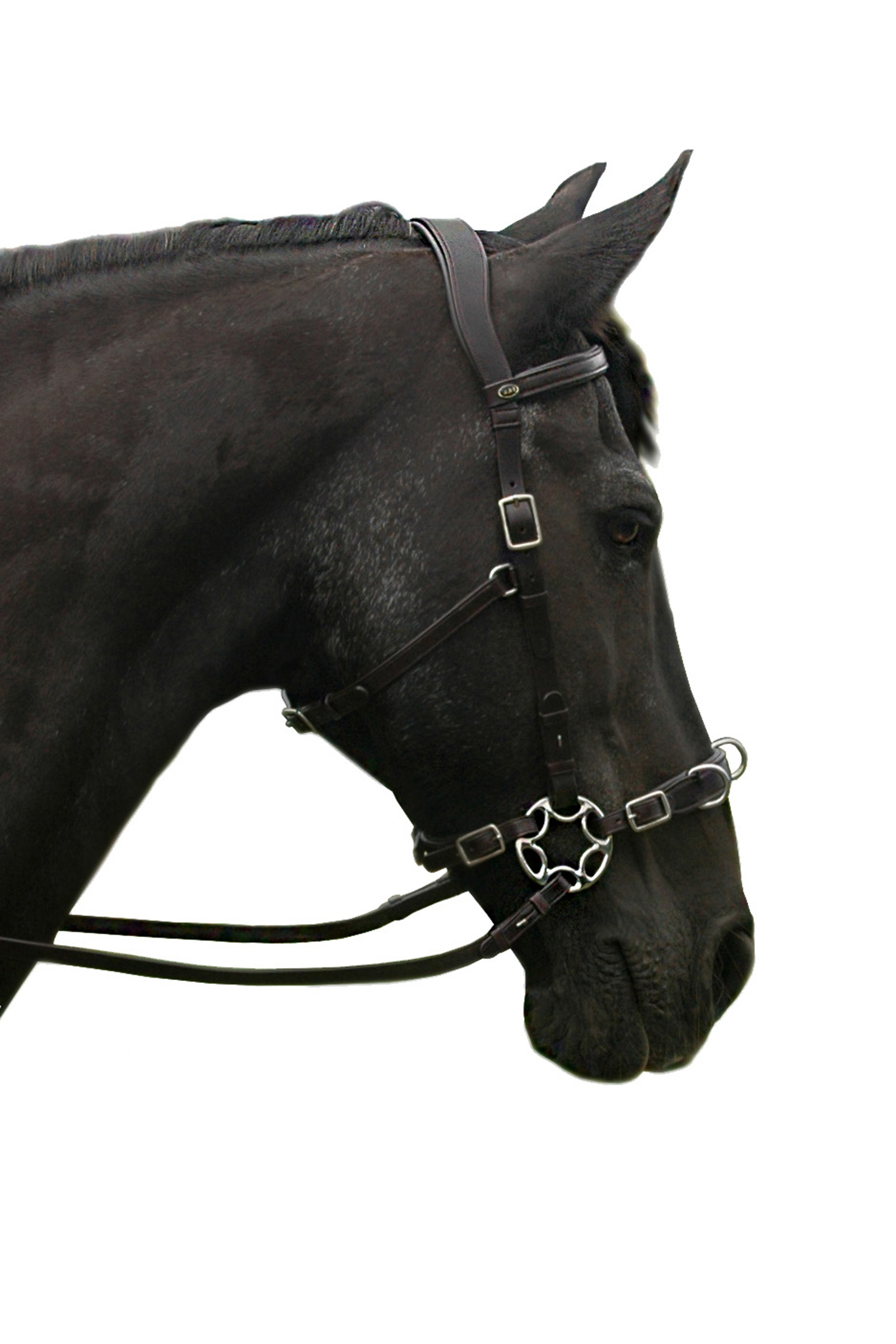 F.R.A. Freedom Riding Articles Caval Compl. Cavemore Bridle (Syst.2) w/ Scissors & Reins