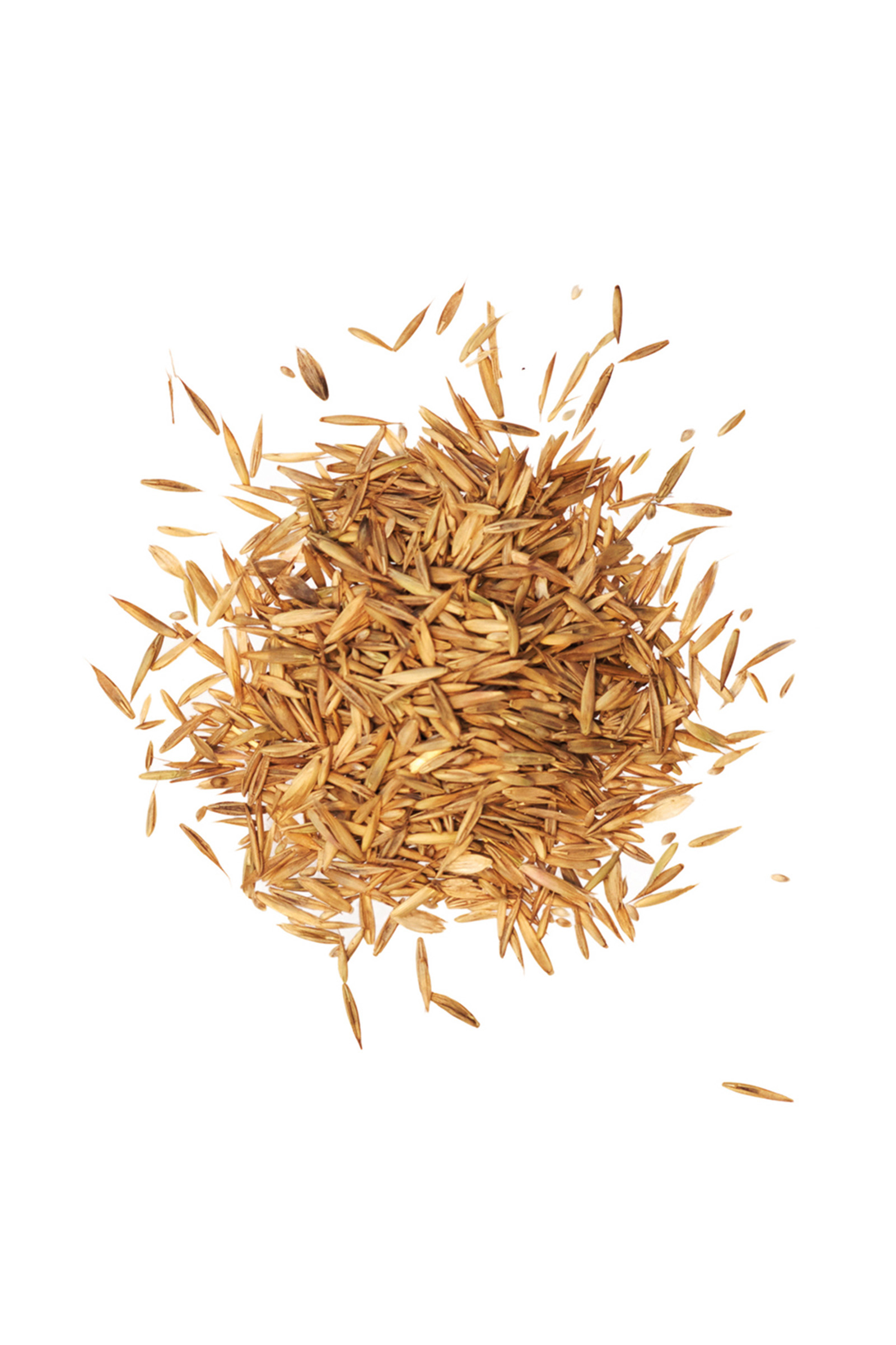 Agrobs Pré Alpin Graines 10 kg