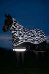 LeMieux Arika Reflective Turnout Rug With Detachable Neck, 0 g