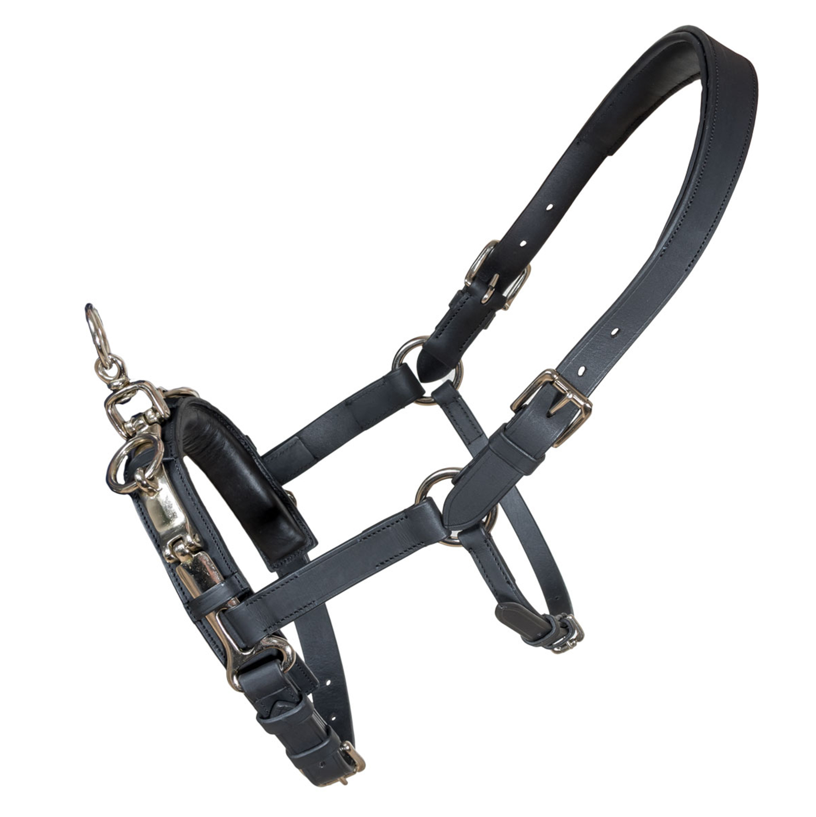 Caveçon Karlslund Fengur