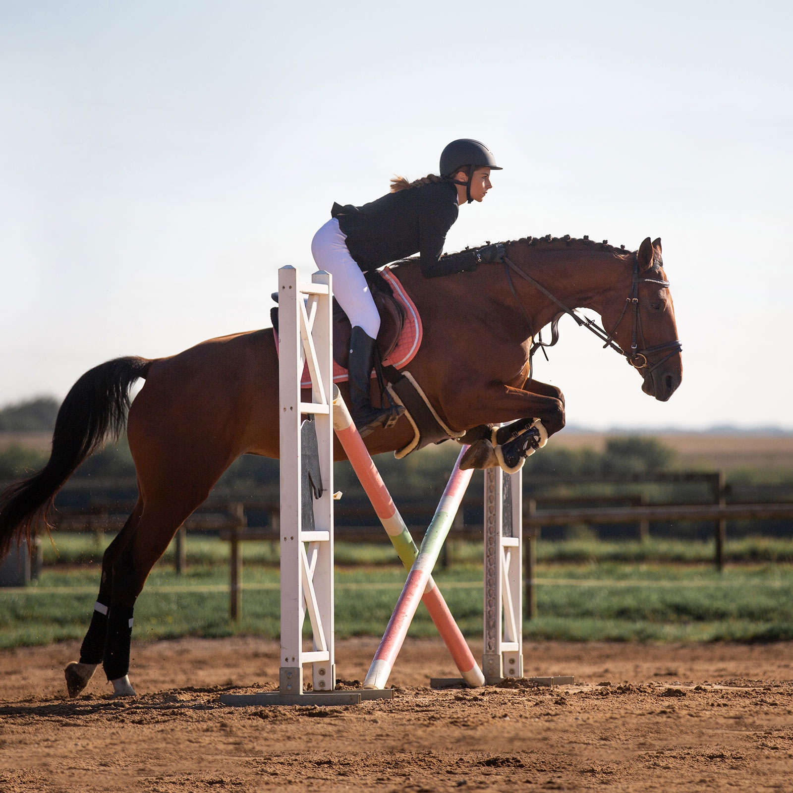 Sangle à bavette Horze Atlanta avec doublure velours