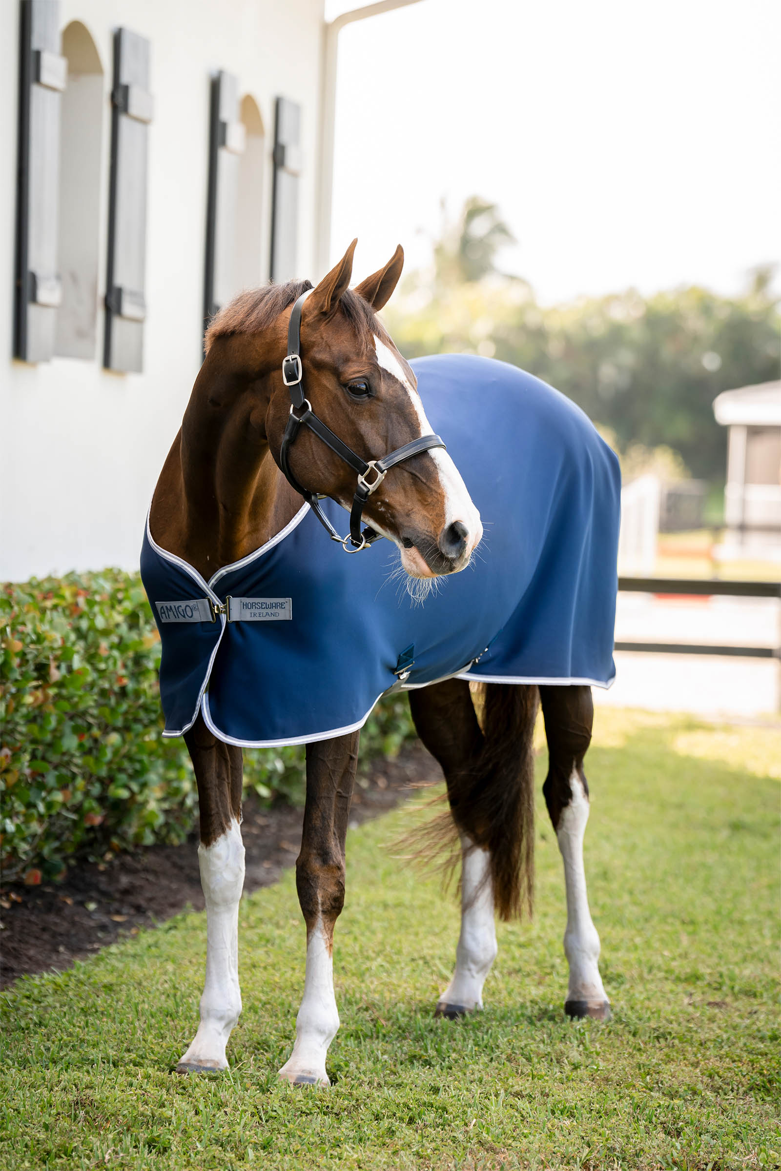 Horseware Amigo chemise s&eacute;chante jersey