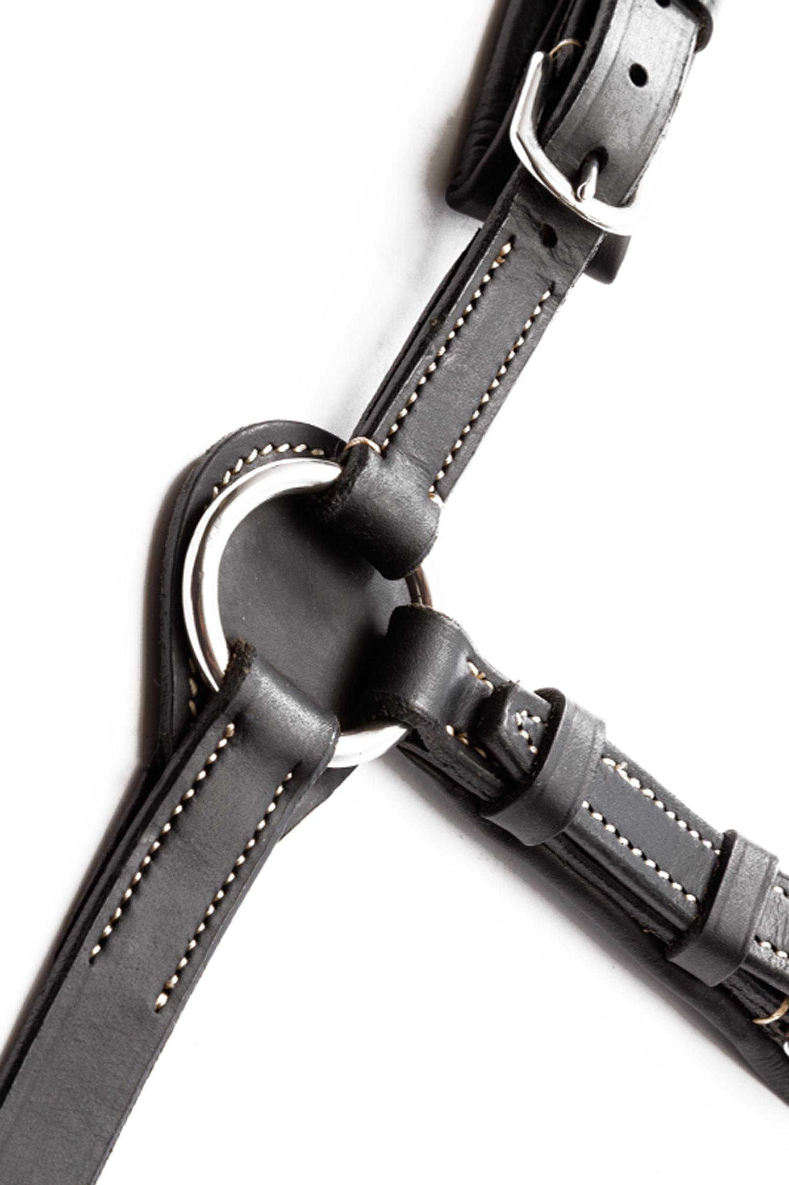 Kavalkade Jerome Pommeau 2 Points