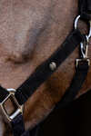 Waldhausen St. Gallen Halter 