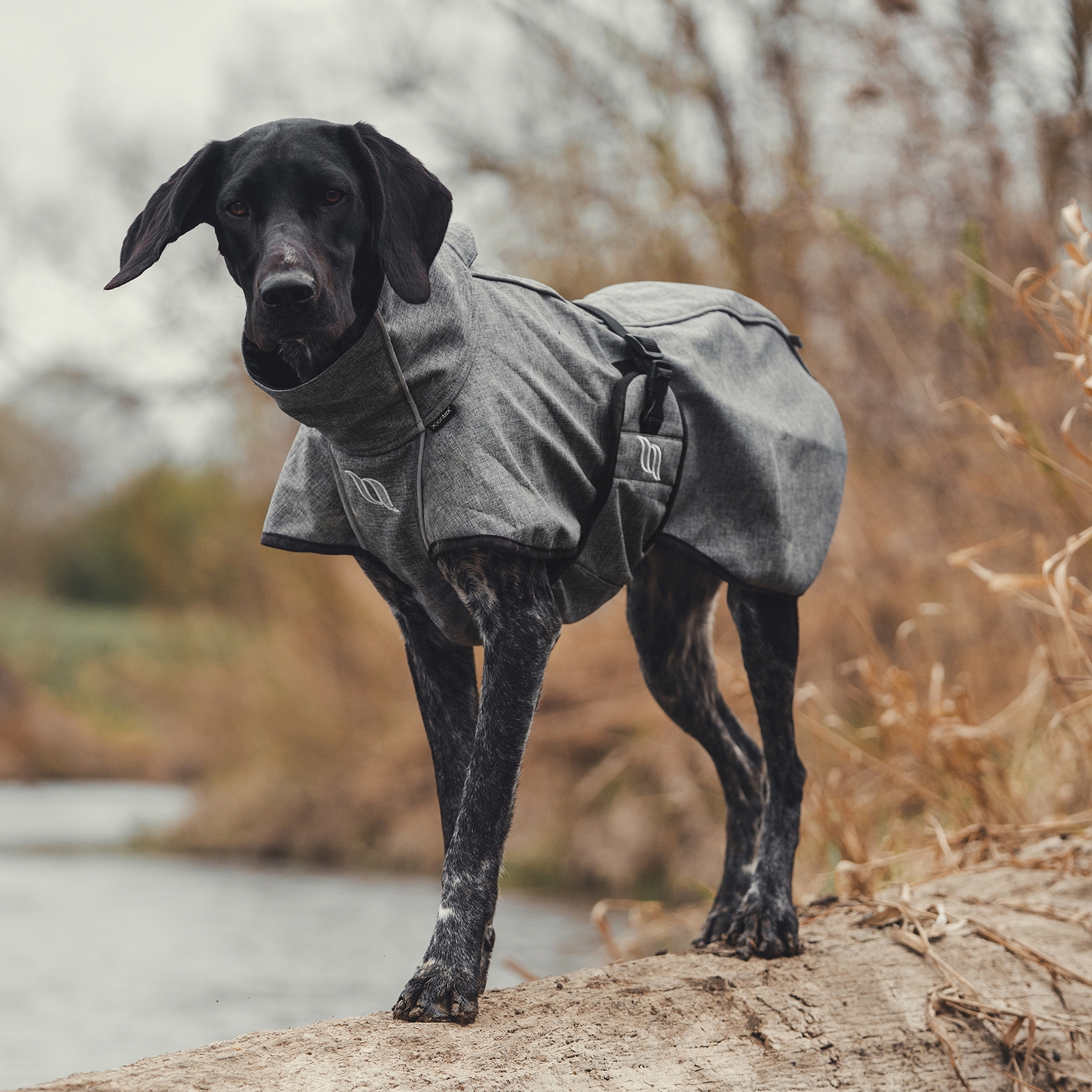 Manteau pour chien Back on Track Bark All-Round, 25-35 cm