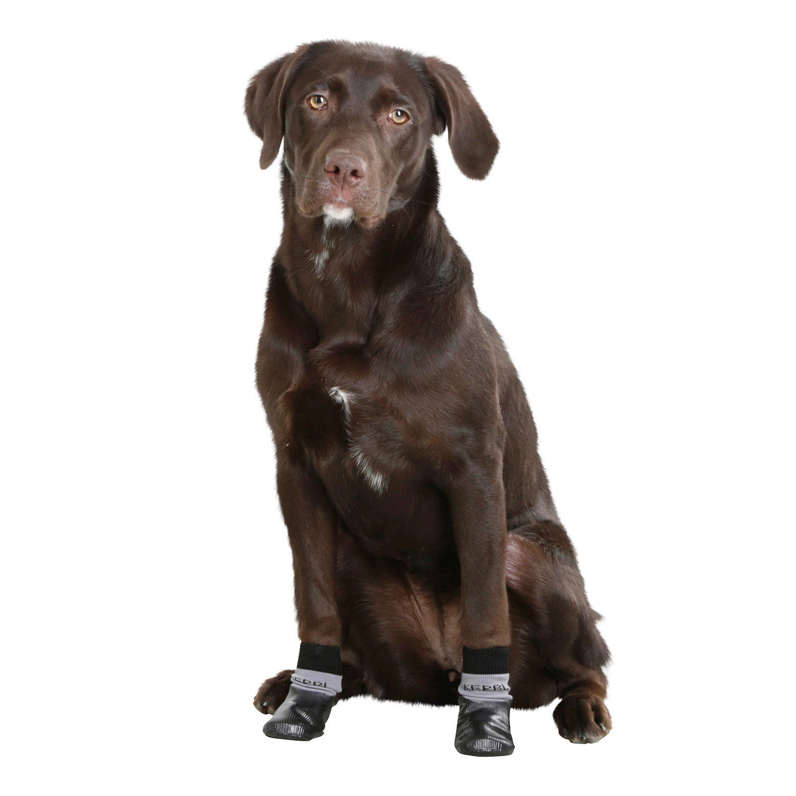 Kerbl Chaussettes pour chien Susi, L-XL