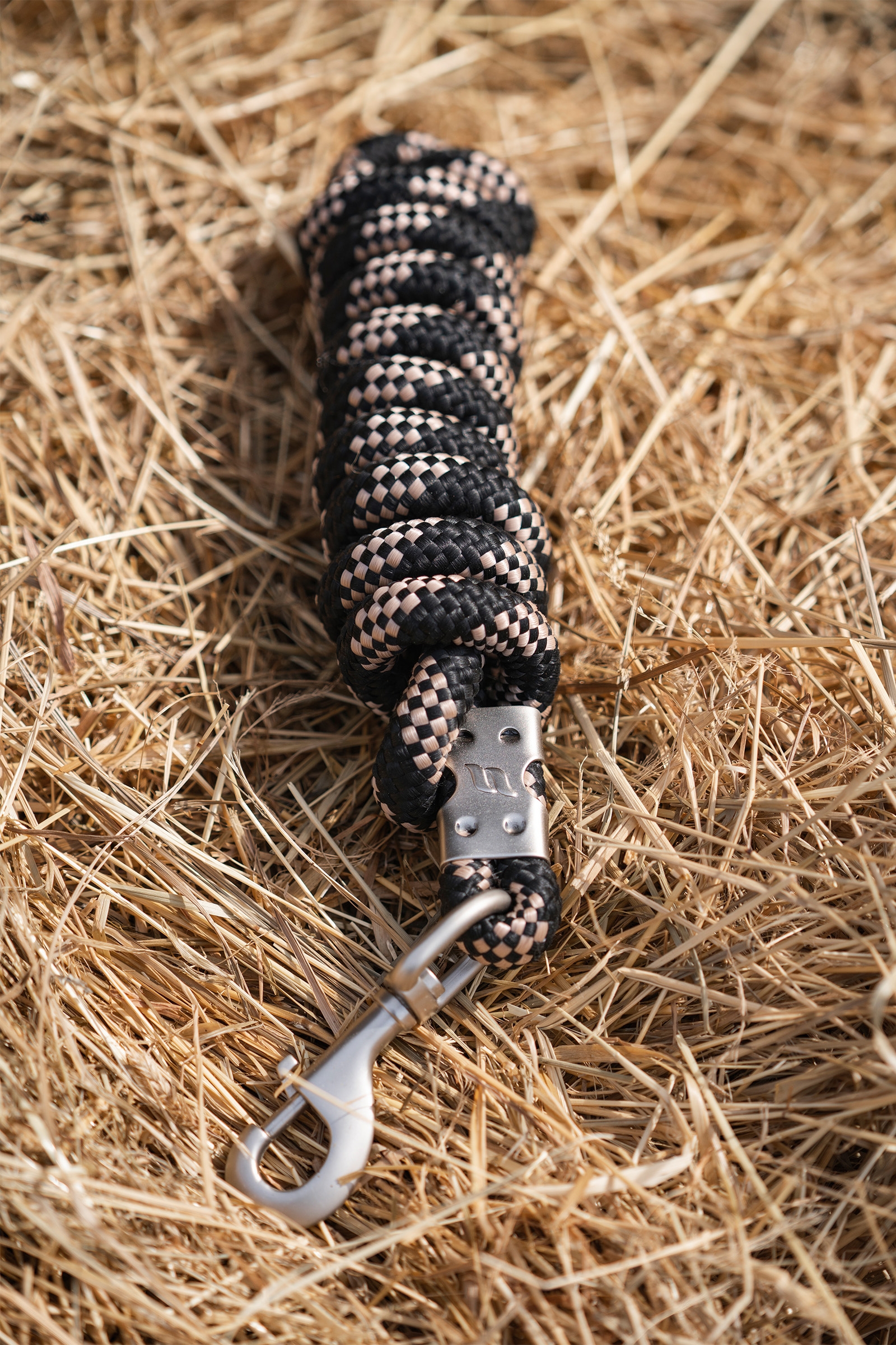 longe Ace Back on Track