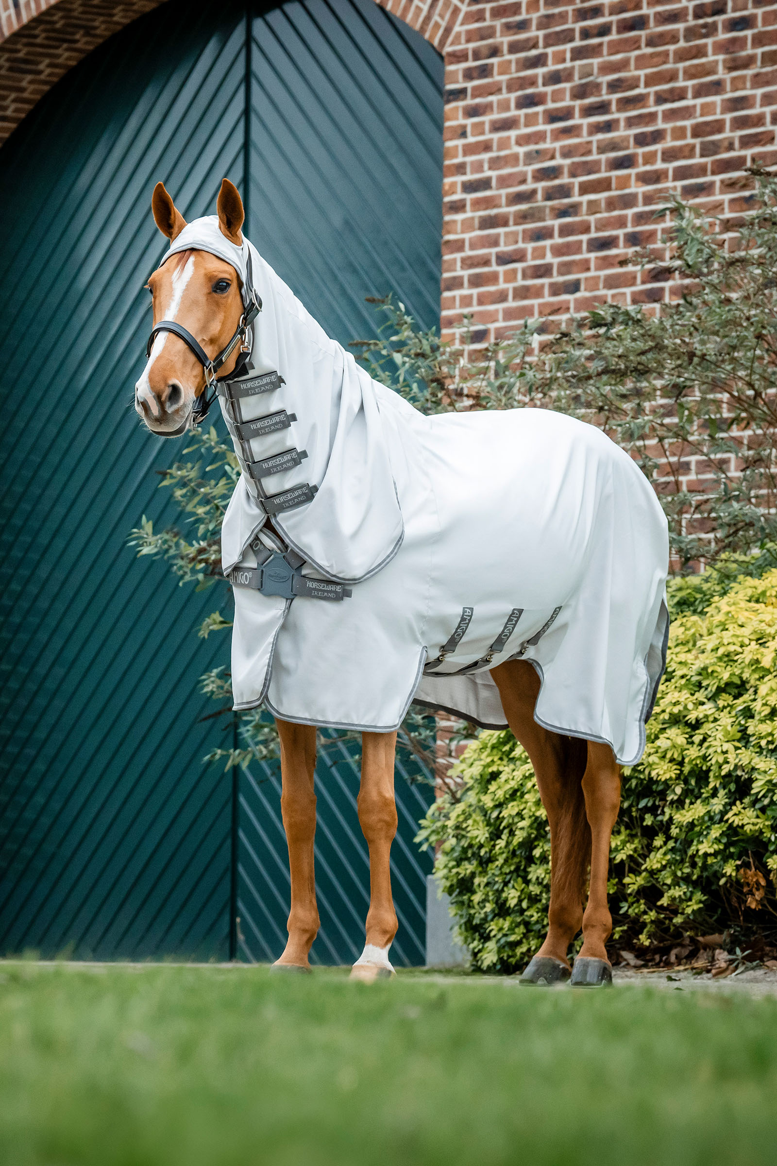 Horseware Amigo Ripstop Couverture anti-mouches