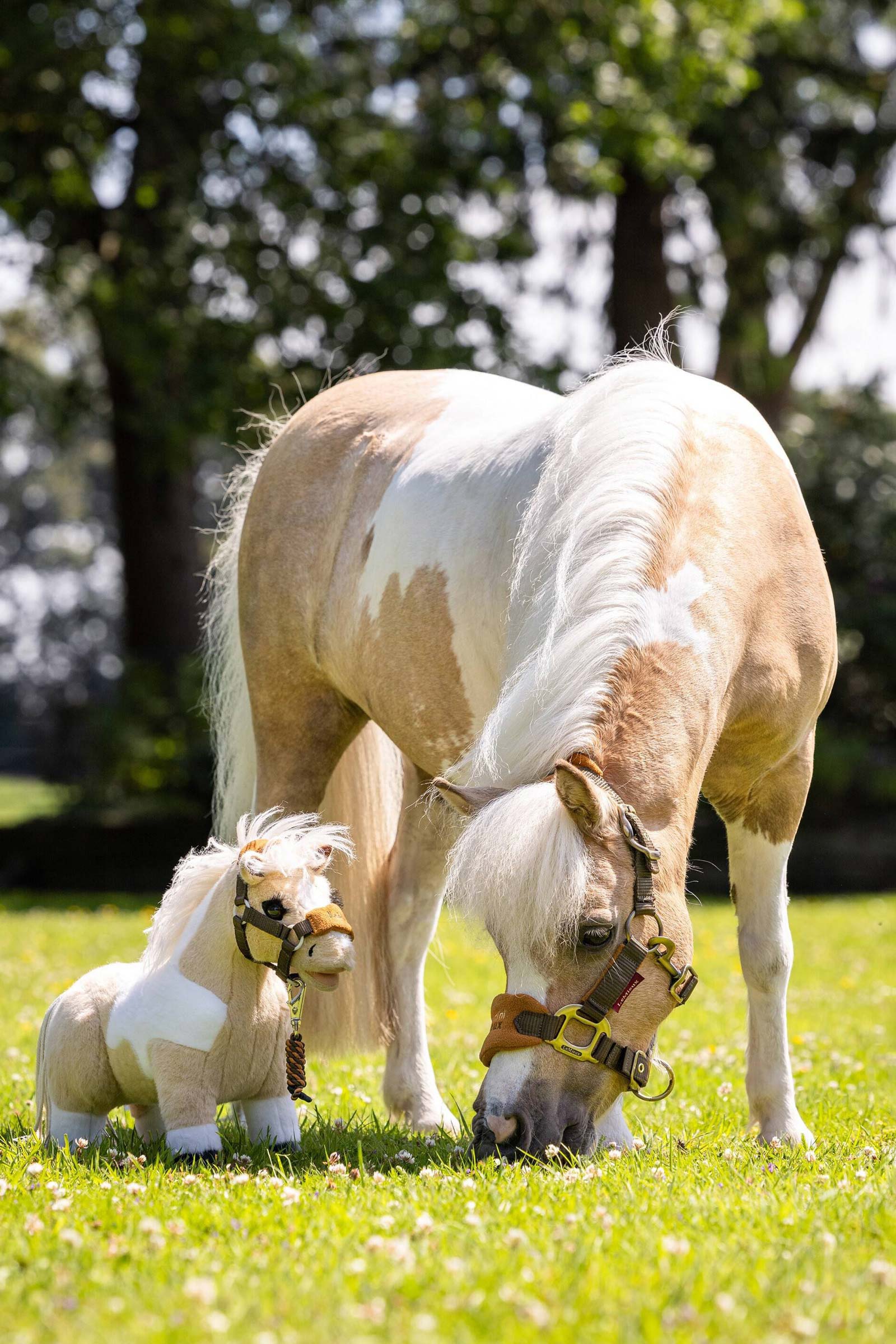 LeMieux Lemon poney jouet