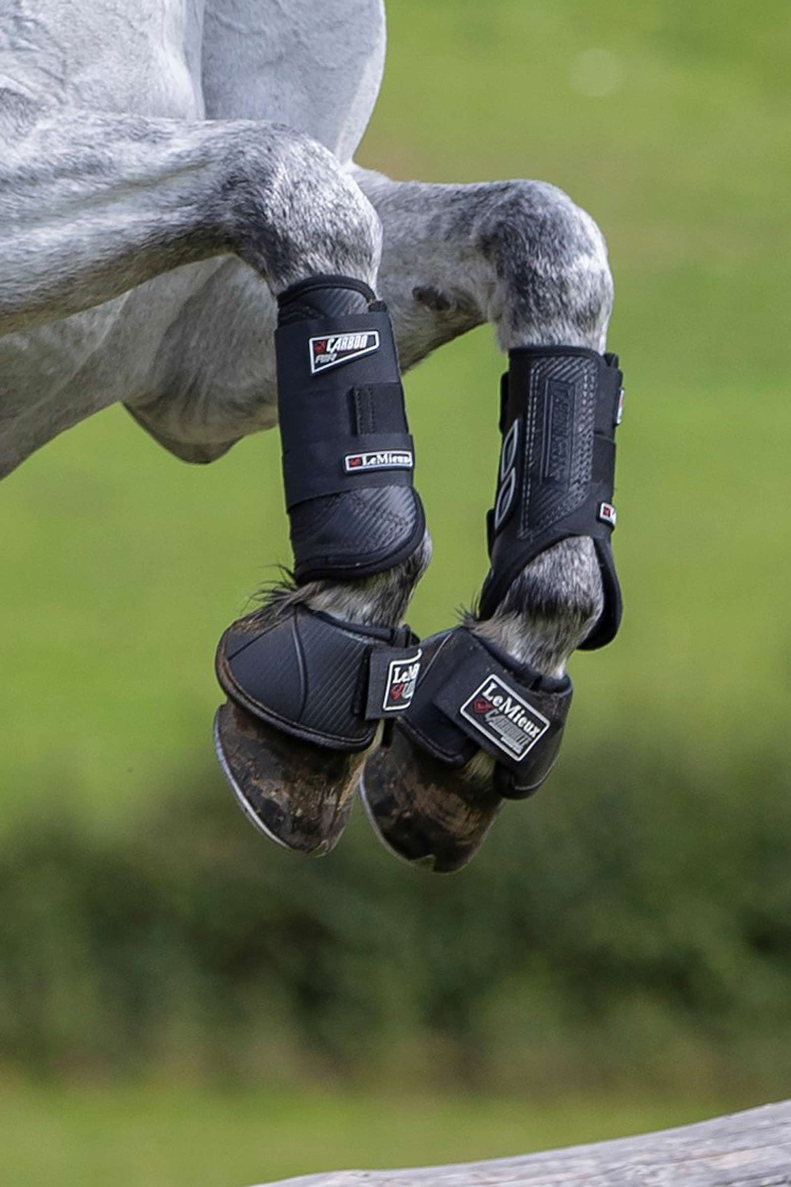 Guêtres de protection protège-tendons LeMieux Carbon Air XC, antérieurs