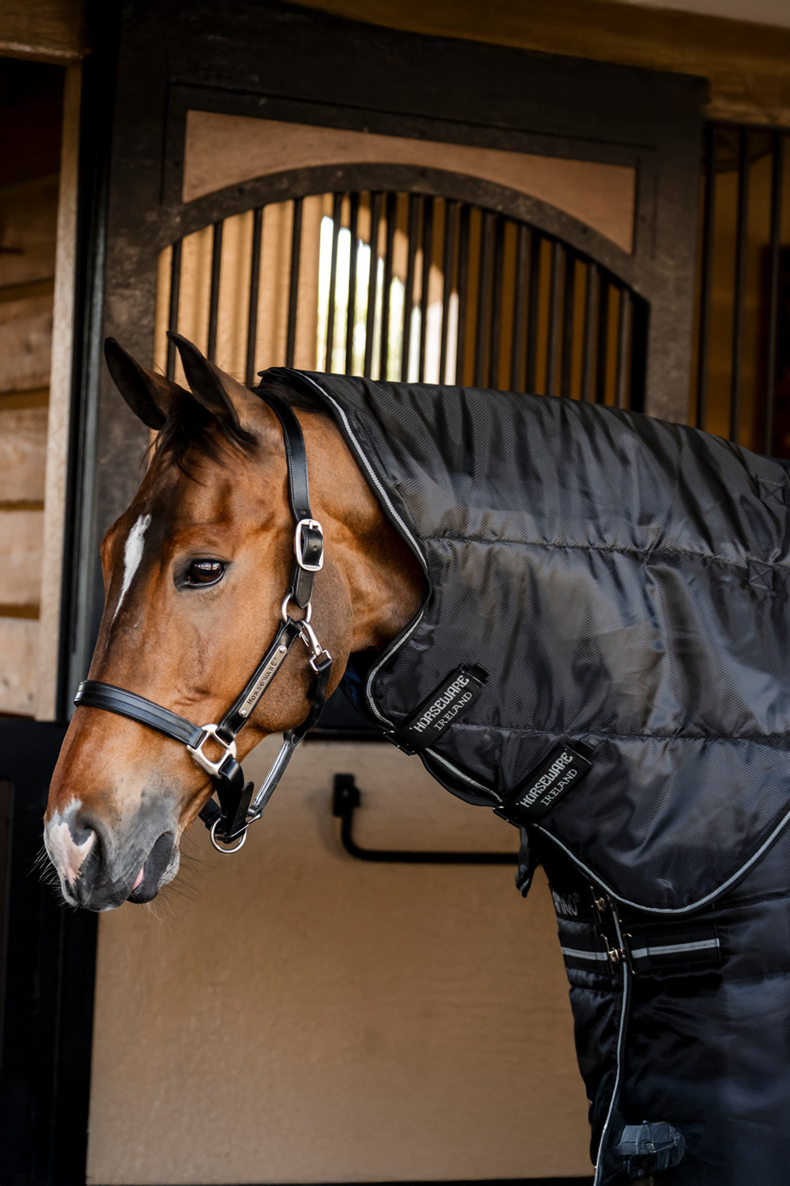 Horseware Amigo Ripstop Insulator Plus couverture d&rsquo;&eacute;curie, 200 g