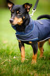 Manteau de pluie pour chien Horseware Signature
