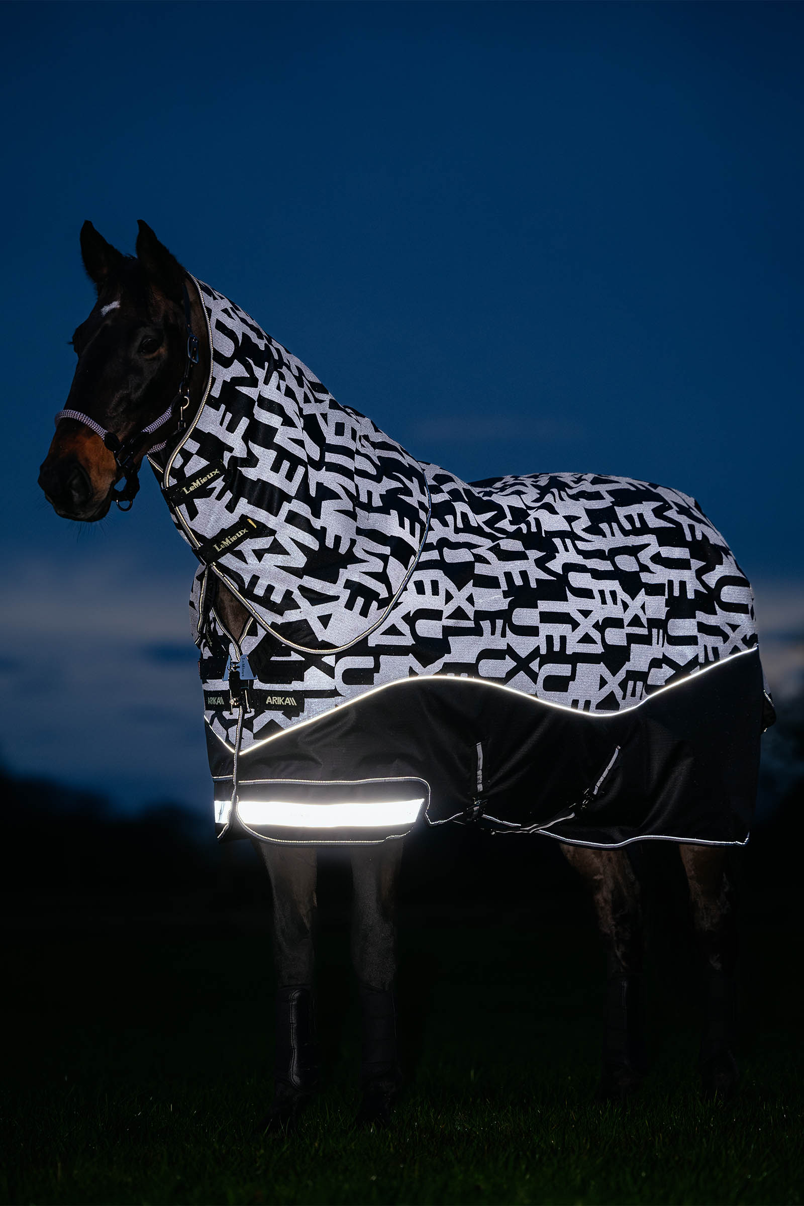 LeMieux Arika Reflective Turnout Rug With Detachable Neck, 0 g