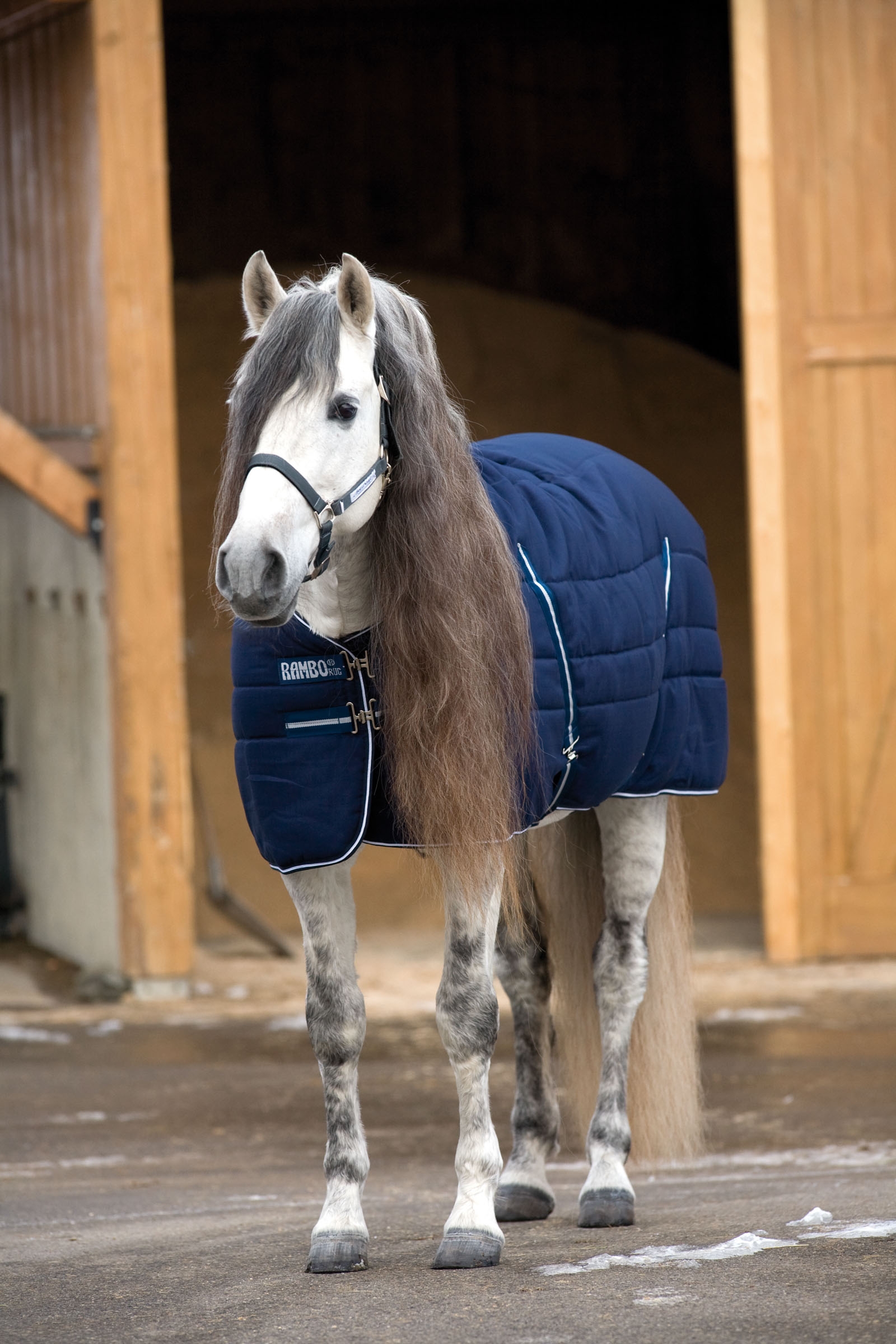 Dark Blue/Dark Blue/White Horseware Rambo couverture écurie, 400g