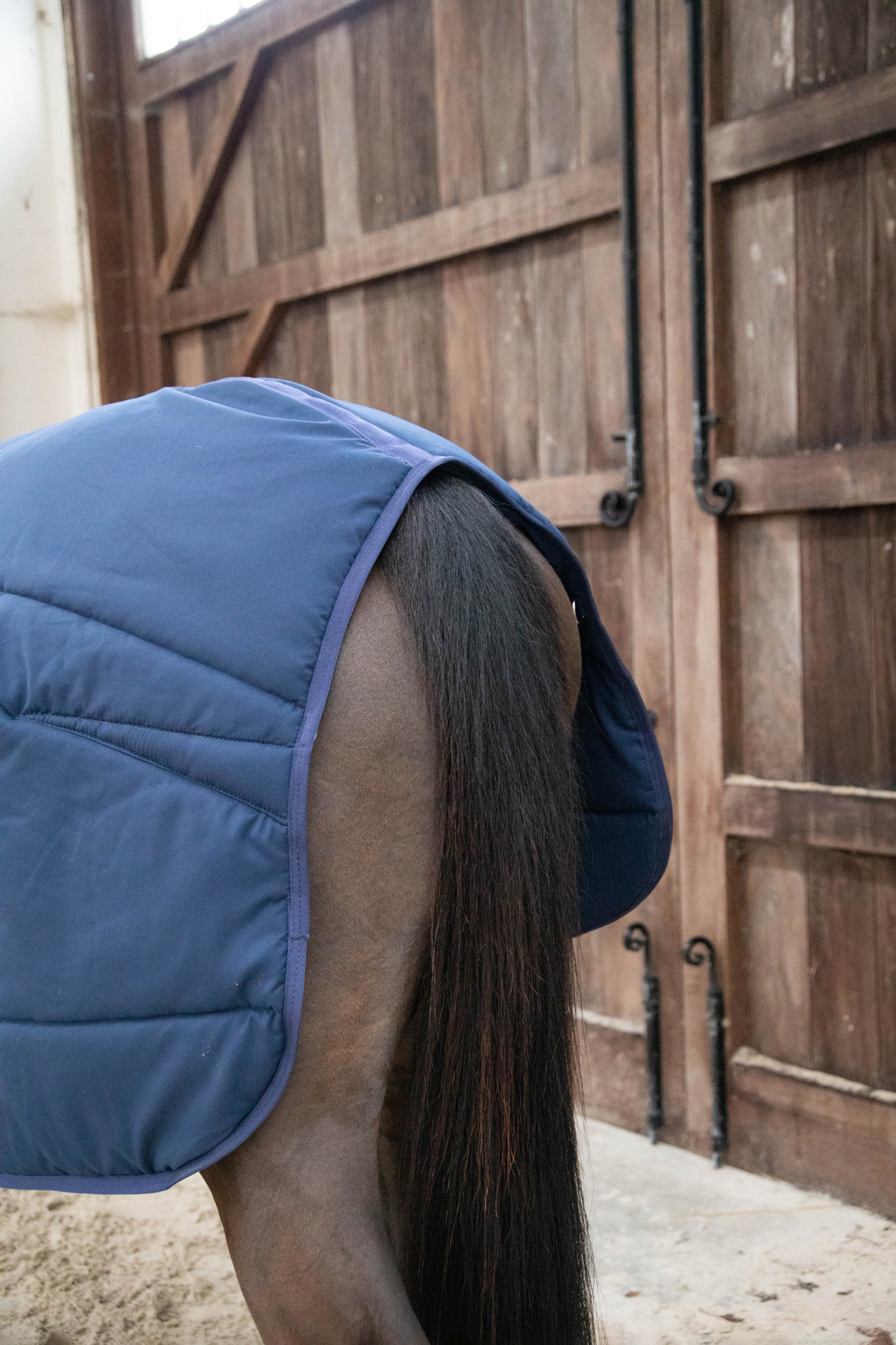 Kentucky Horsewear Sous couverture Classic, 100g