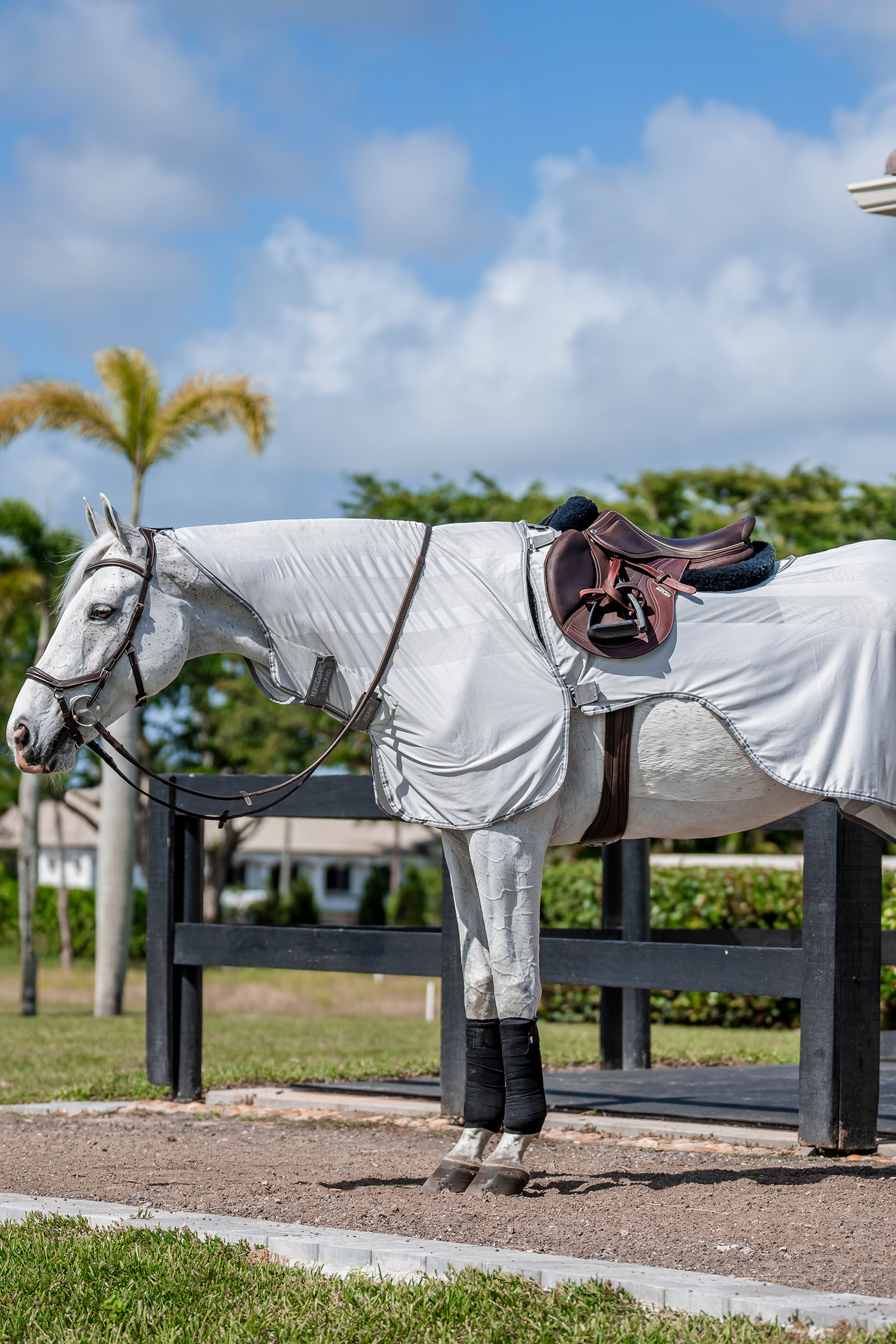 Silver/Titanium Grey & Silver Horseware Amigo Flyrider tapis de travail, 0 g